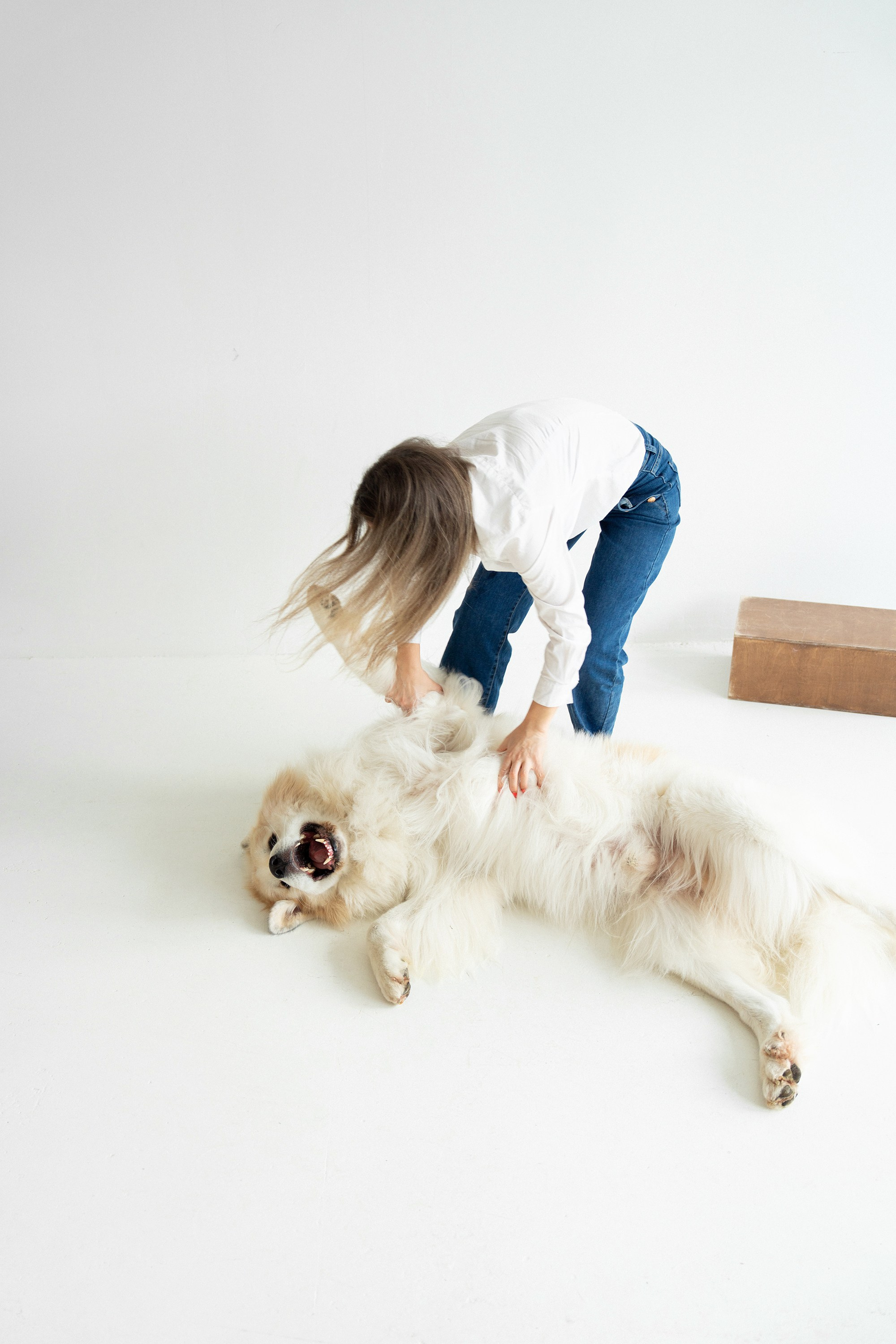 Poros ir jų šuns fotosesija studijoje Vilniuje. Vita Klimaševska ○ Fluffy Soulmate Photography