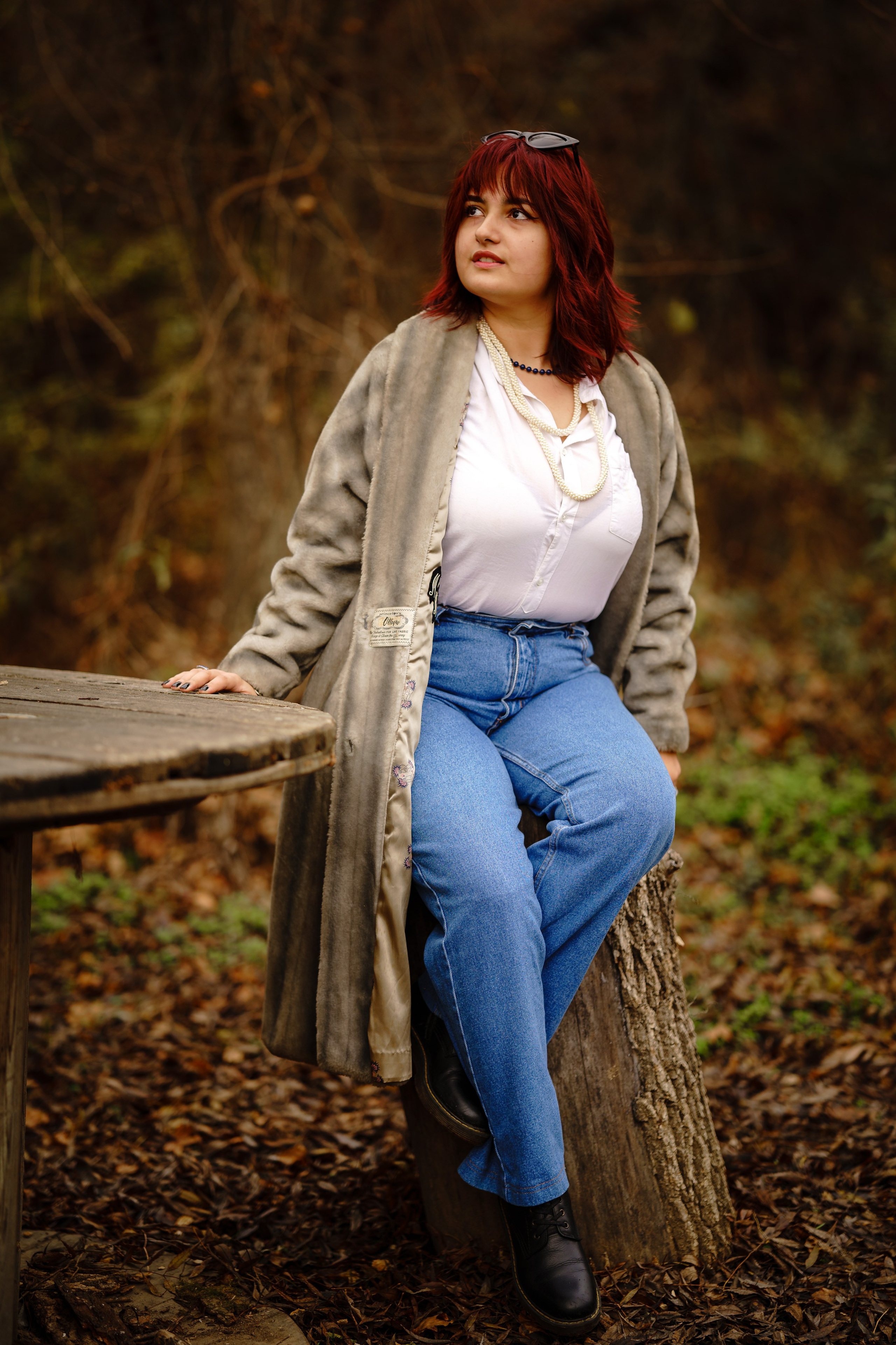 Padurea Ceala Gratuit. Trendy Albums