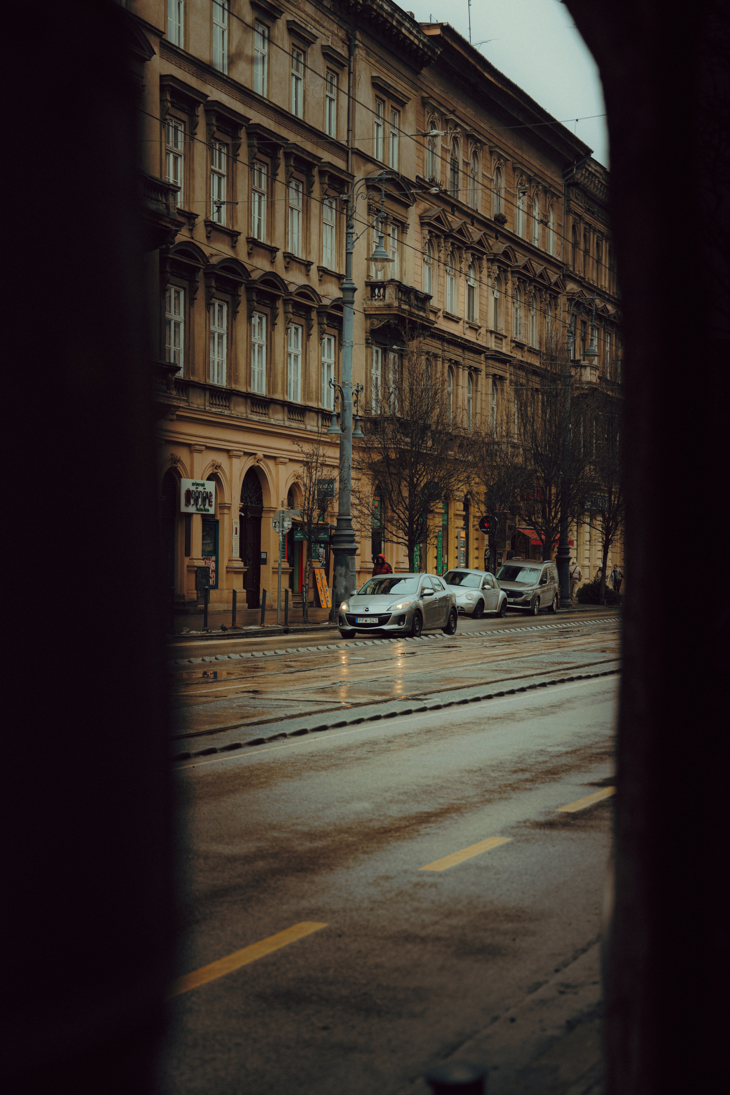 Budapest. Merabi Eminashvili