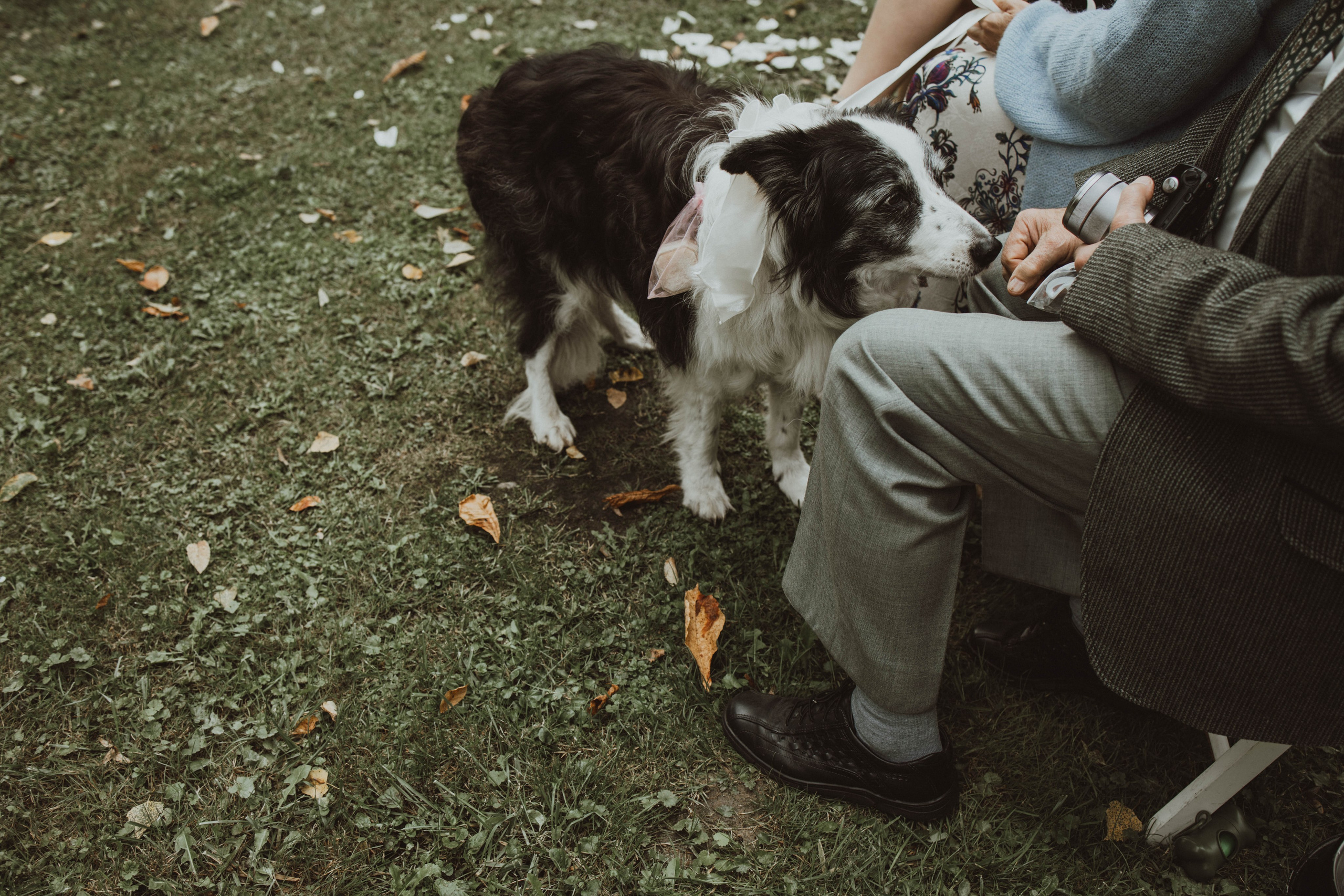 JULIA DAWID. Fotograf Mykhalchuk Inna Kraków