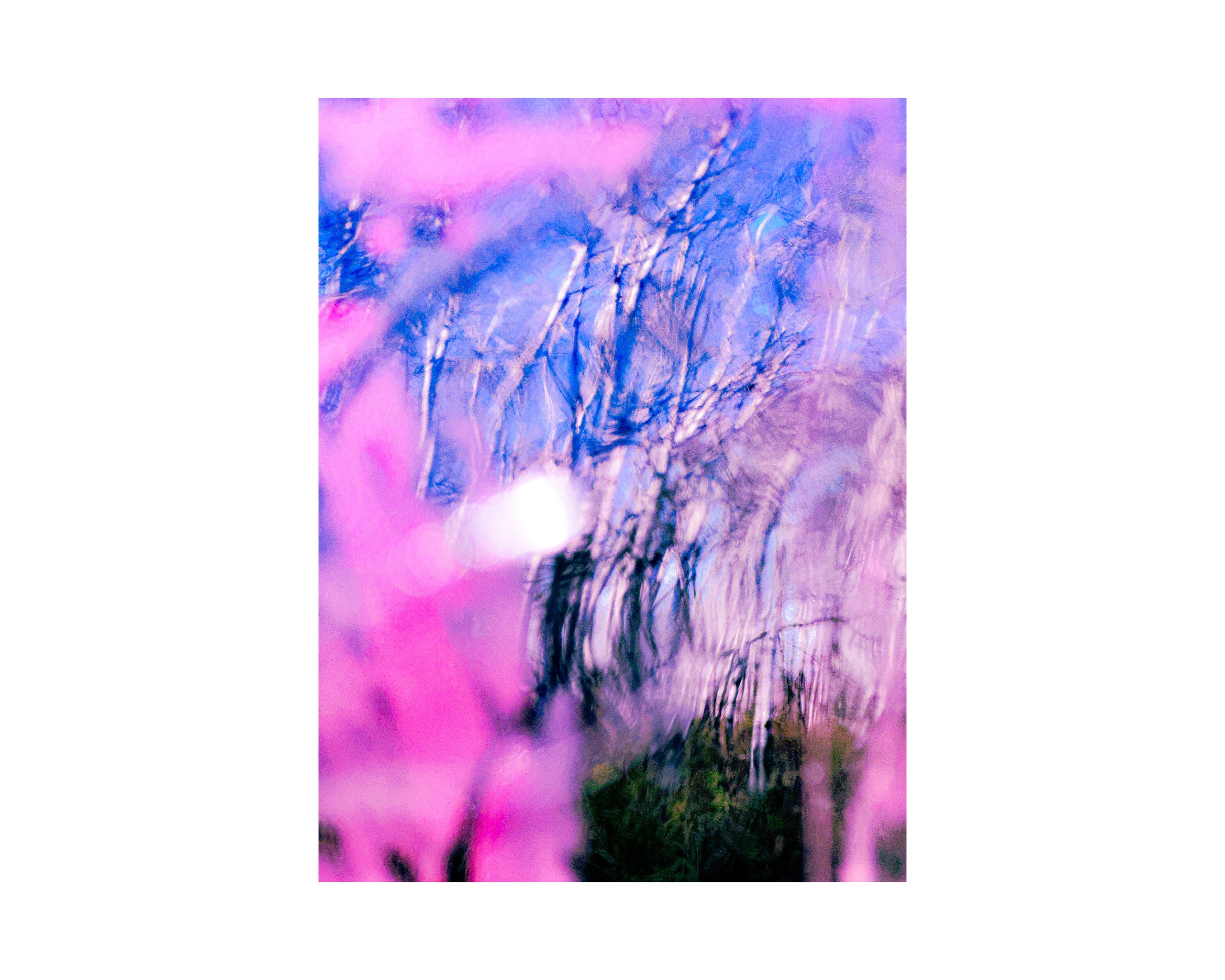 Nature from Exaggerated Worlds. Ekaterina Tsurkina-Appina Photography Canada