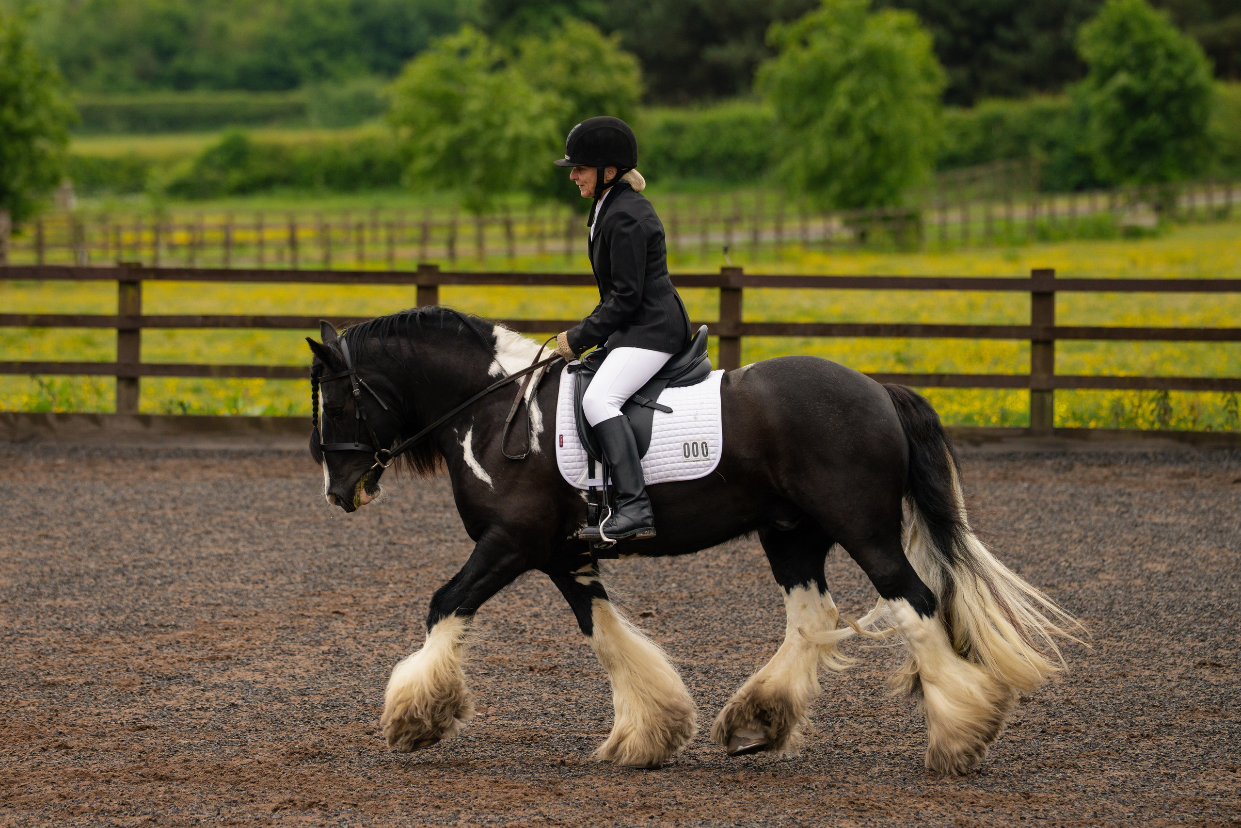 Dressage. Leicestershire Equine Photography by El | Authentic Equine Portraits & Events