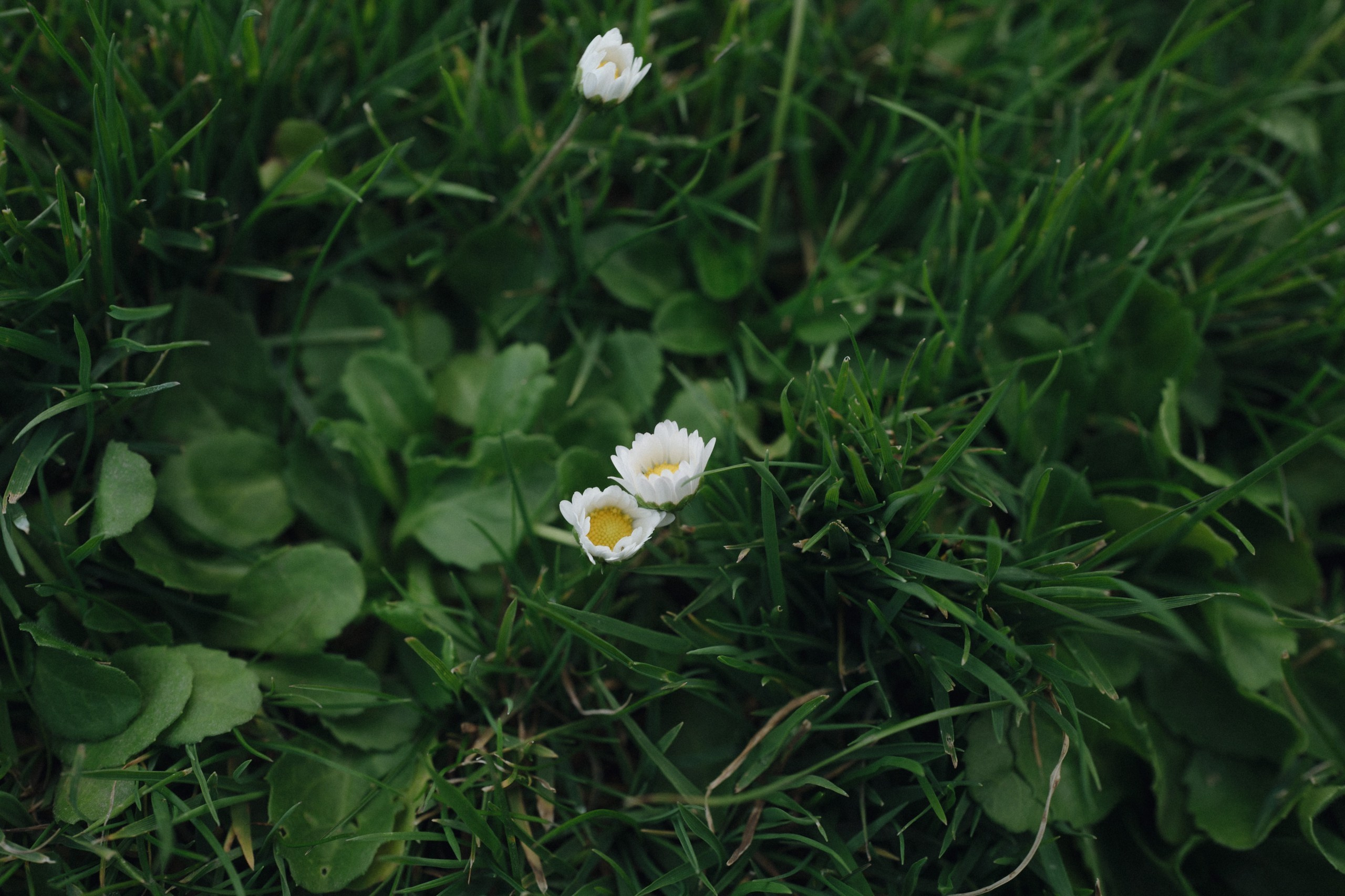 E&K. Orange County Wedding Photographer & Videographer | Candid & Timeless Wedding Photo + Video | Italiantsev