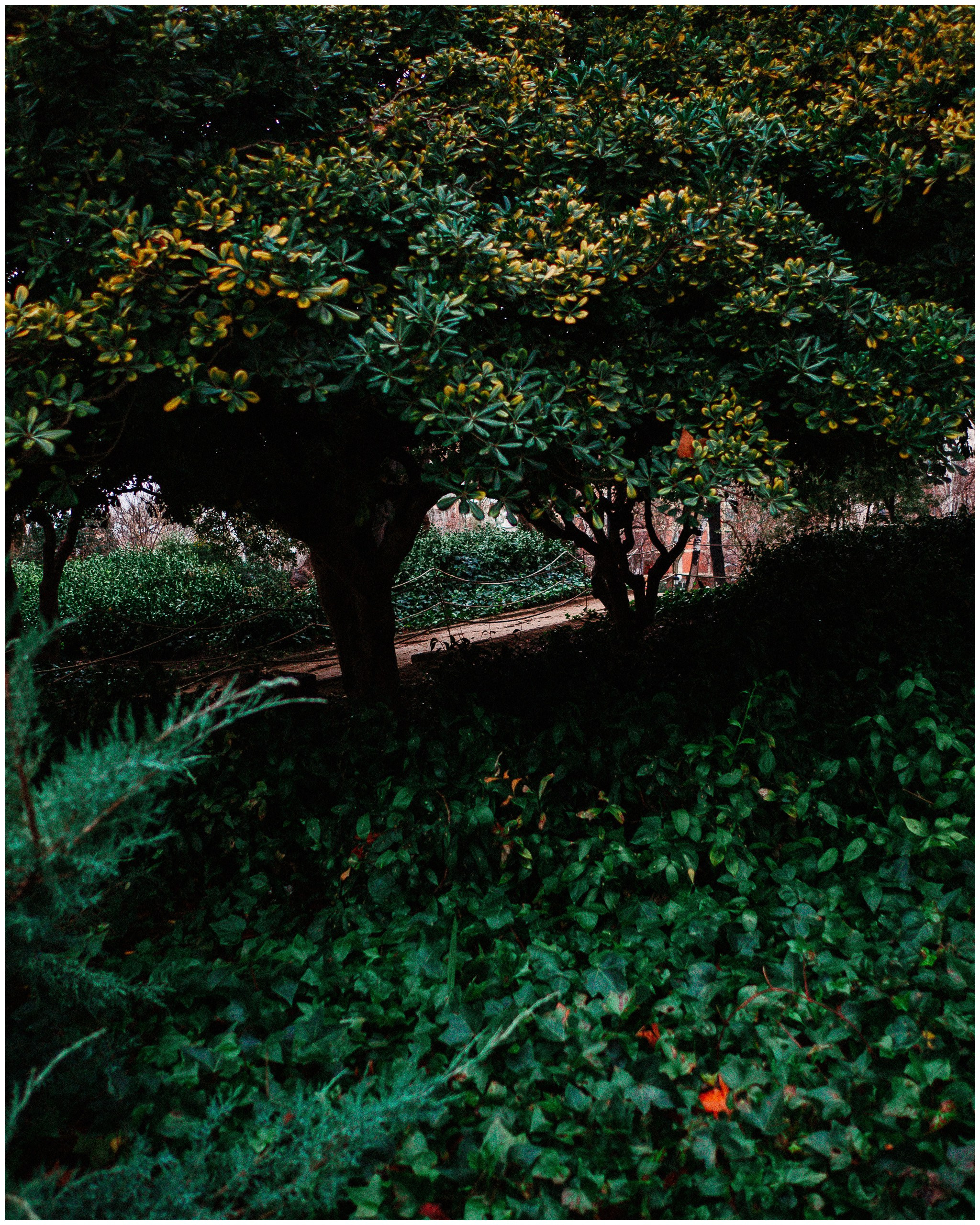 BARCELONA. Inna Mendelson — Photographer