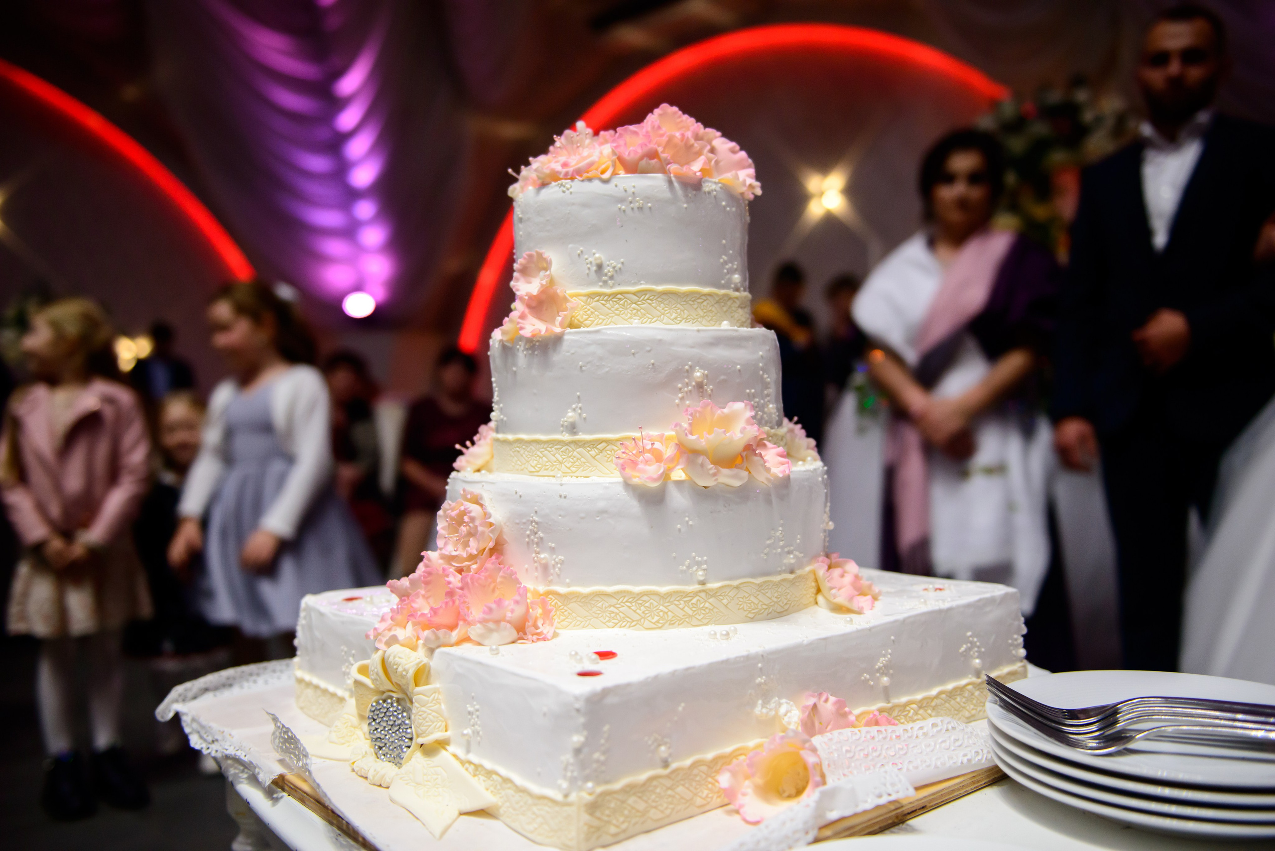 V+M. Fotograf de familie Vitalie Budoianu