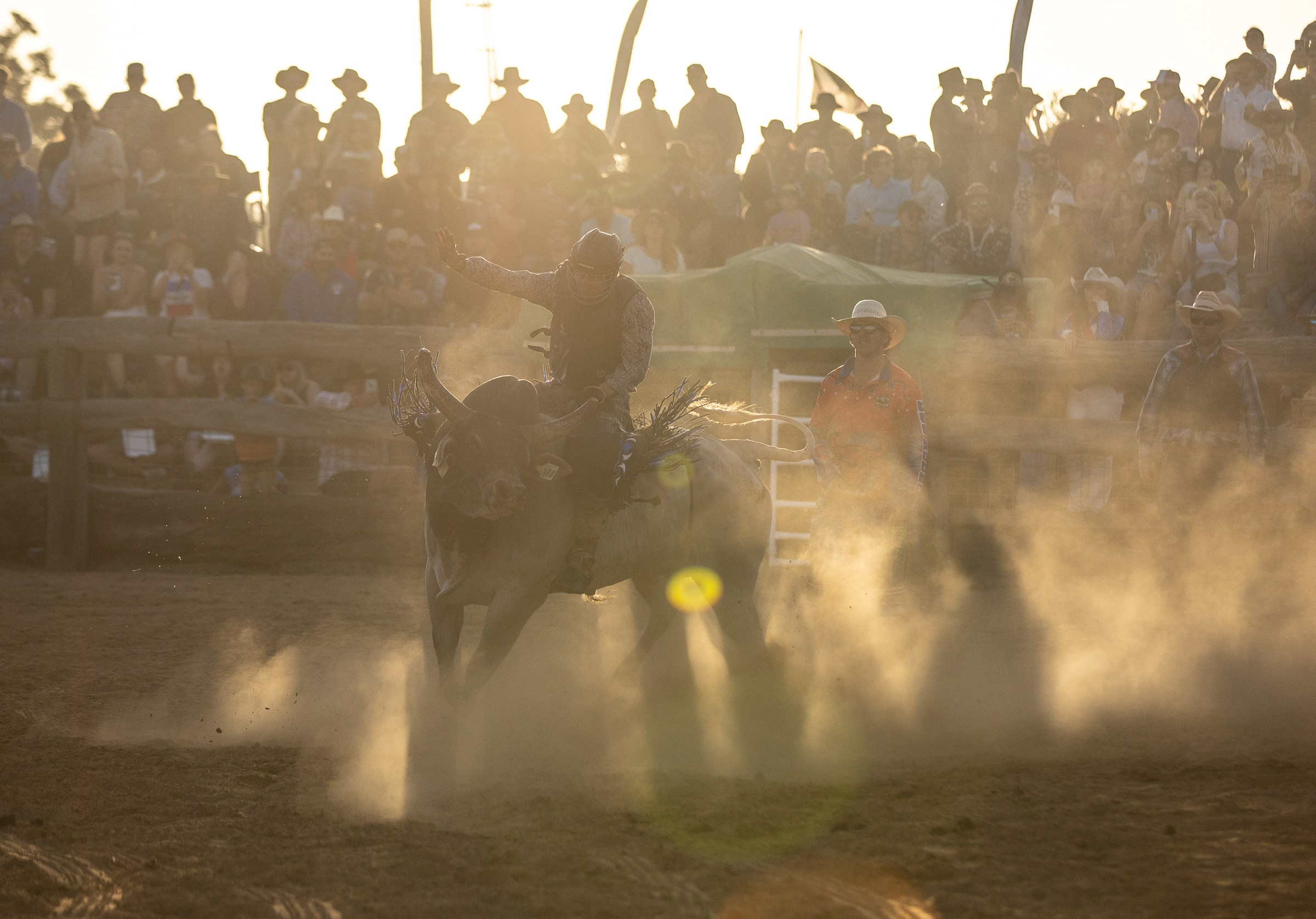Selection of photos from different rodeos
