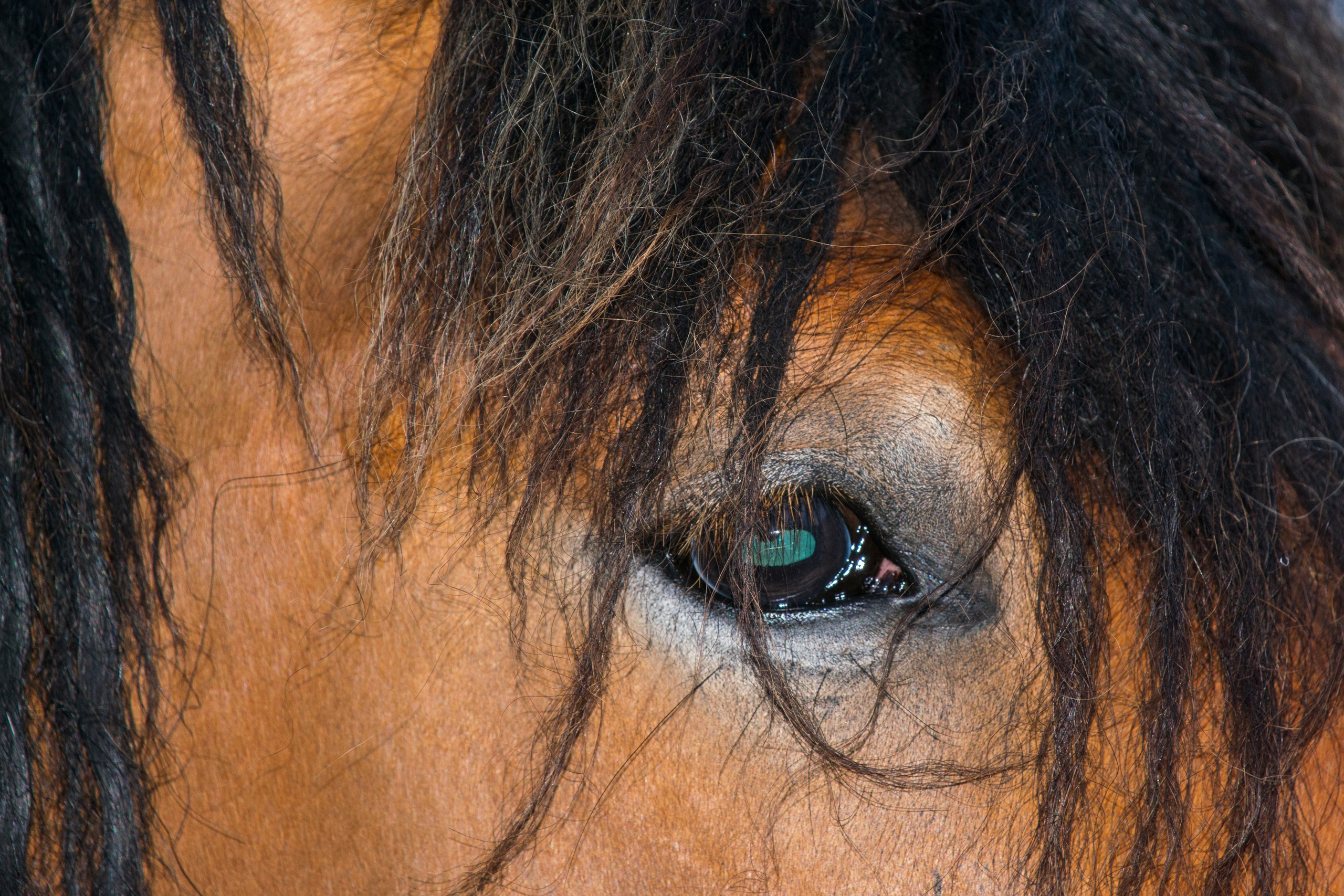 Portfolio. Photographer in Sotenäs municipality. Fotograf i Sotenäs kommun