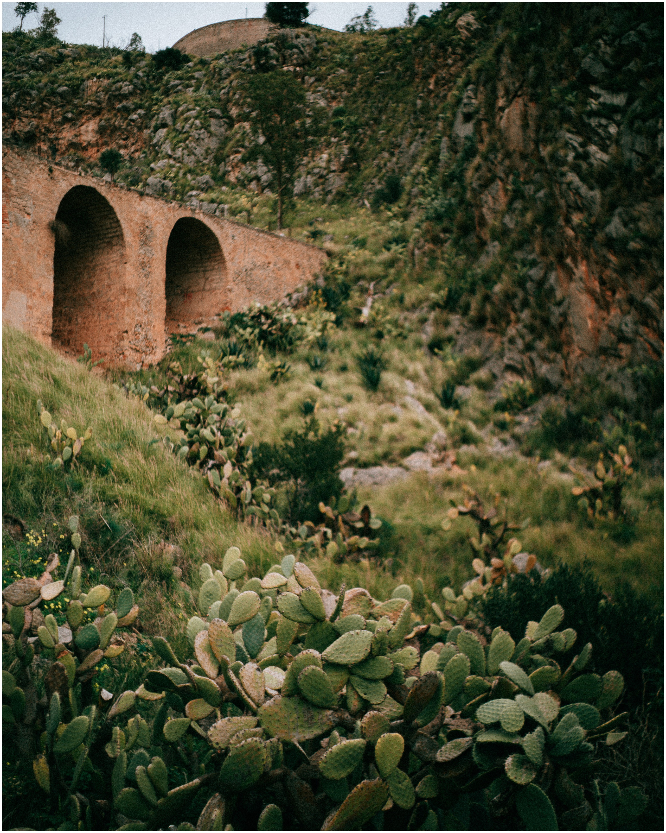 PALERMO. Photographer Inna Mendelson