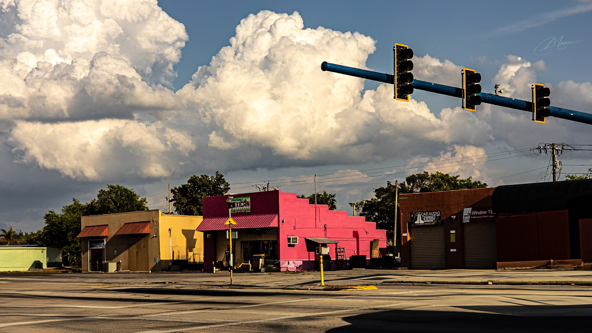 Americana — Immokolee. Out and About 239