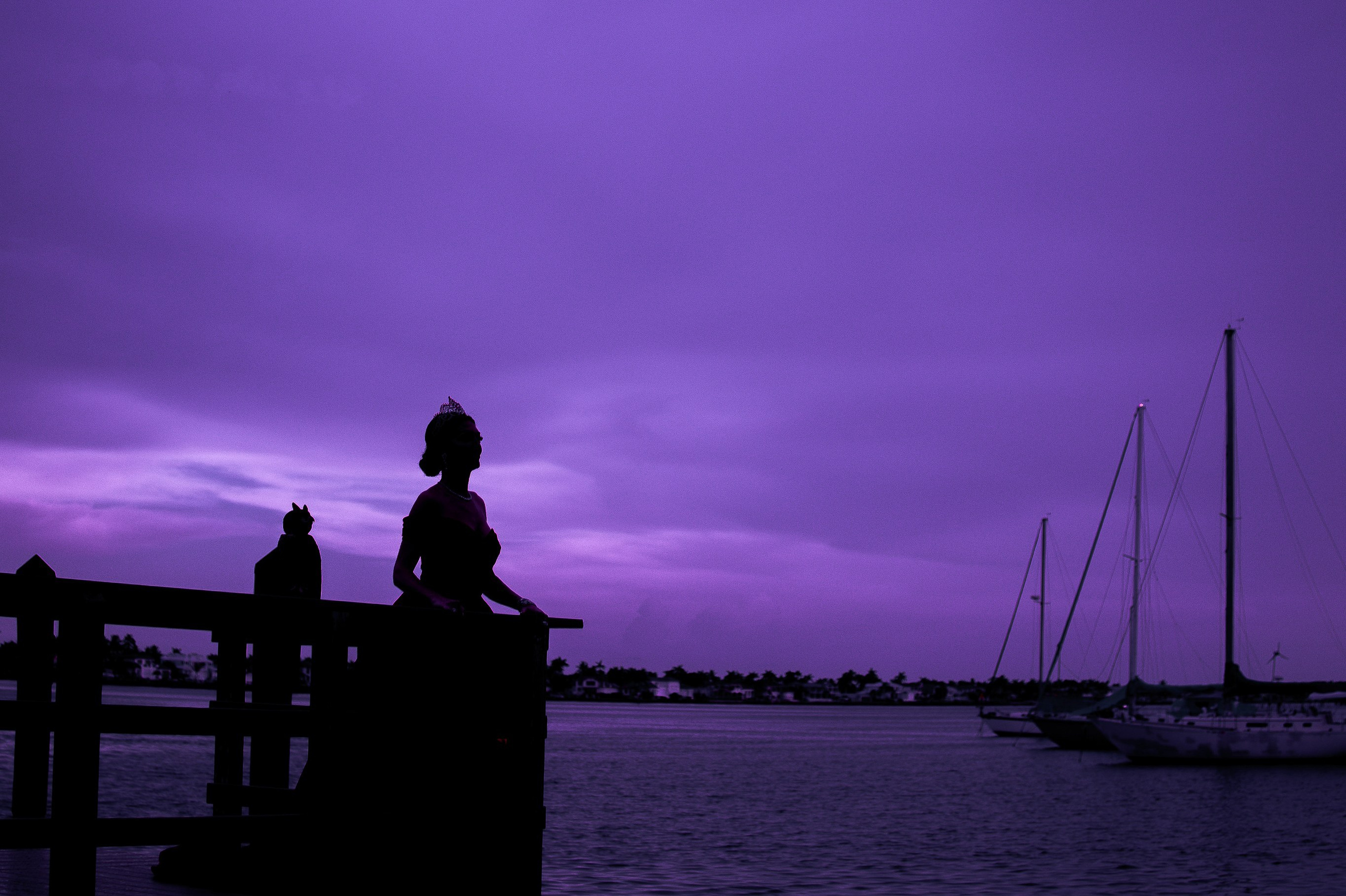 Red Queen Series. Out and About 239