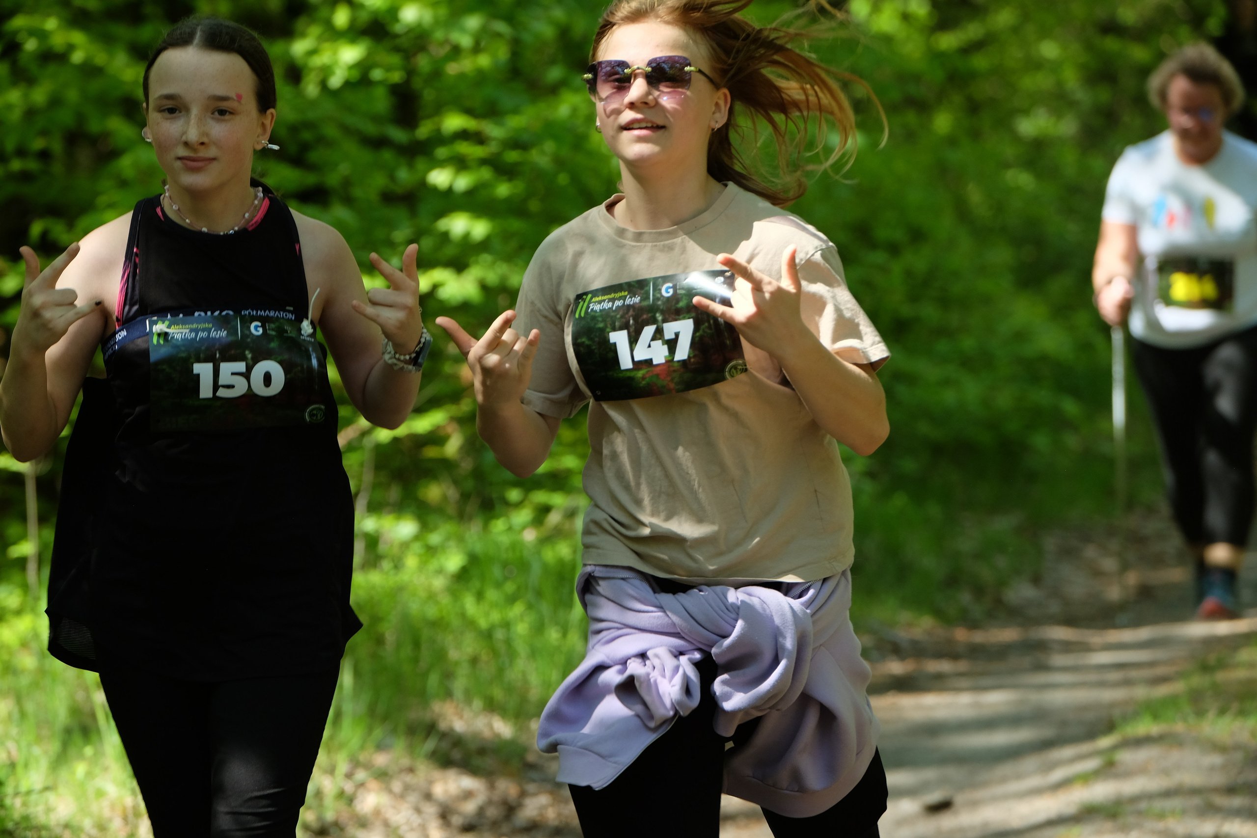 Aleksandryjska Piątka po lesie. Main