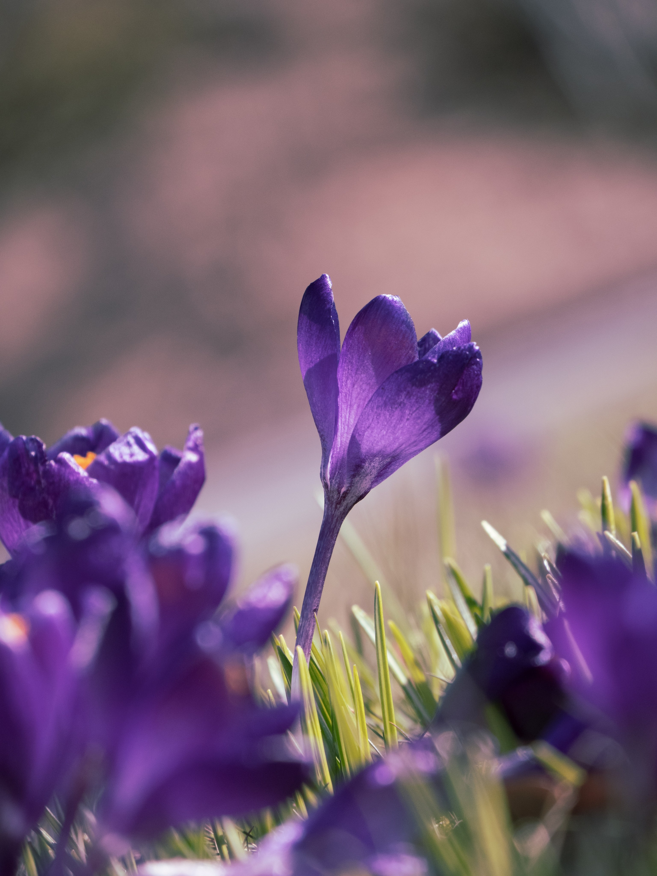 Portfolio. Photographer in Sotenäs municipality. Fotograf i Sotenäs kommun