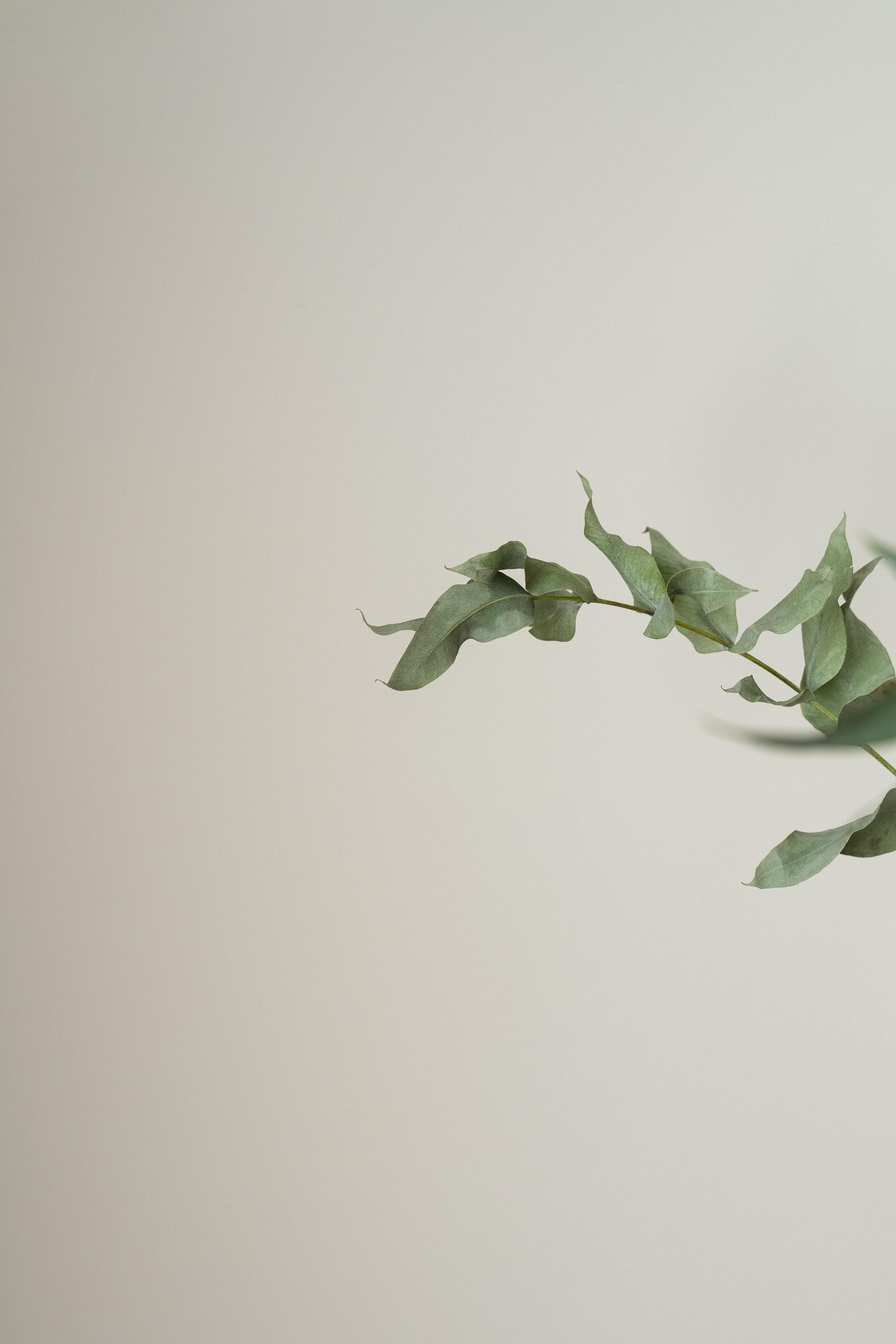 Контент для блога. Ekaterina Verbitskaya. Photography