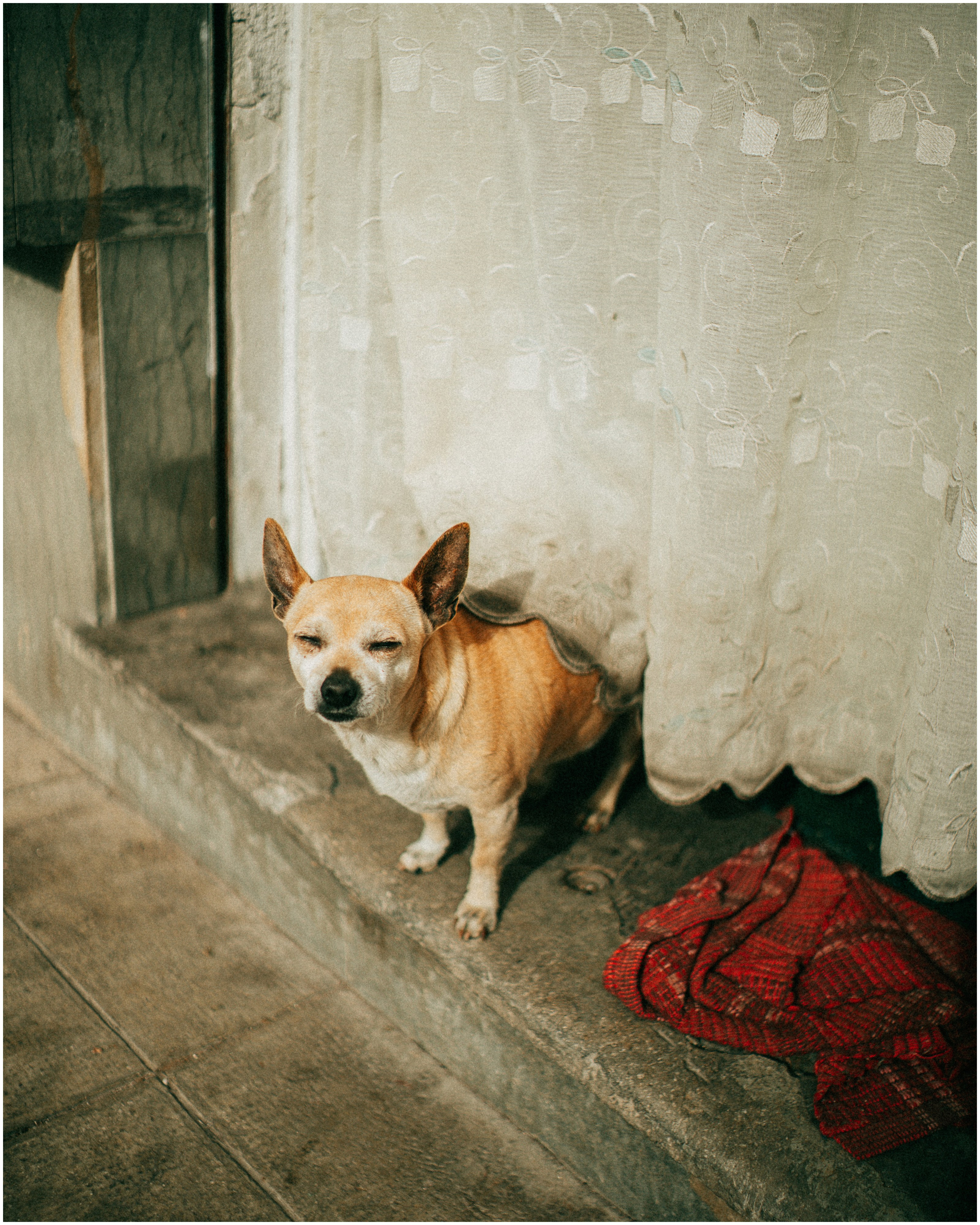 PALERMO. Photographer Inna Mendelson