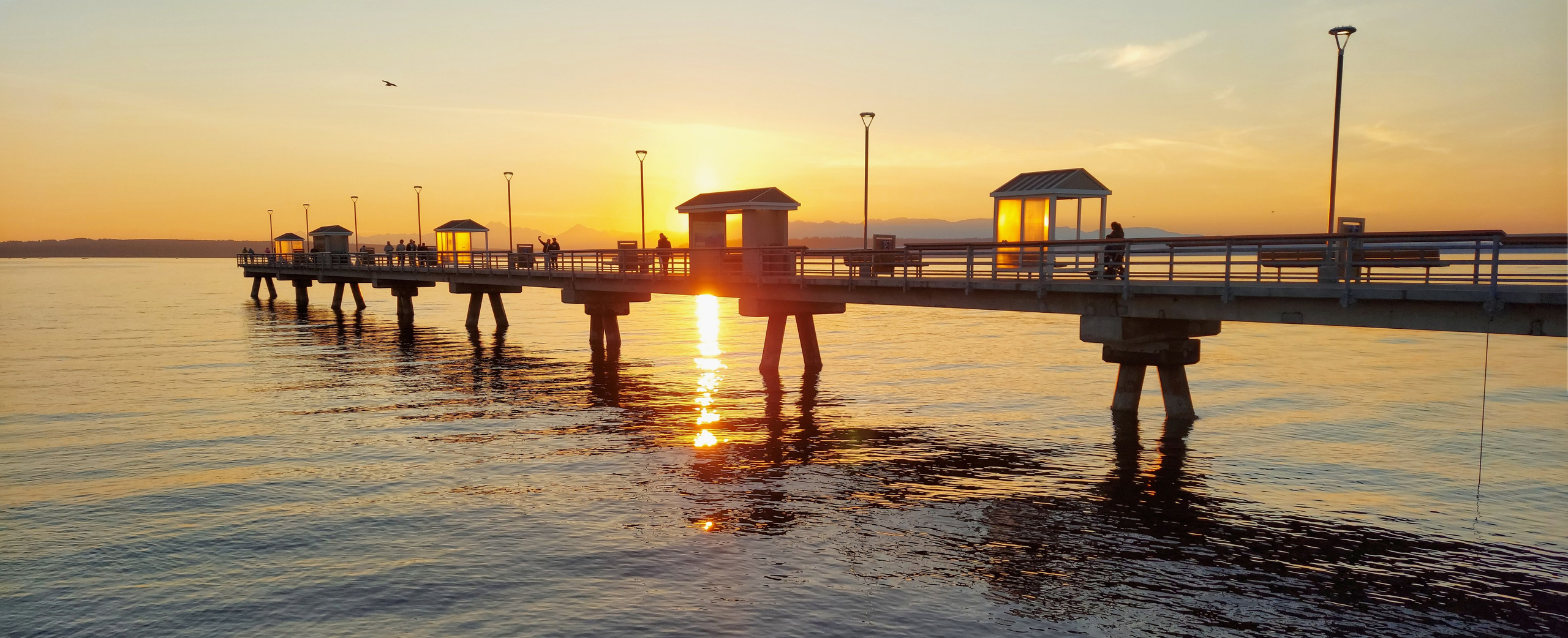 Waterfront Photoshoot. YuAnna studio. Family & Kids Photographer in Seattle area, located in