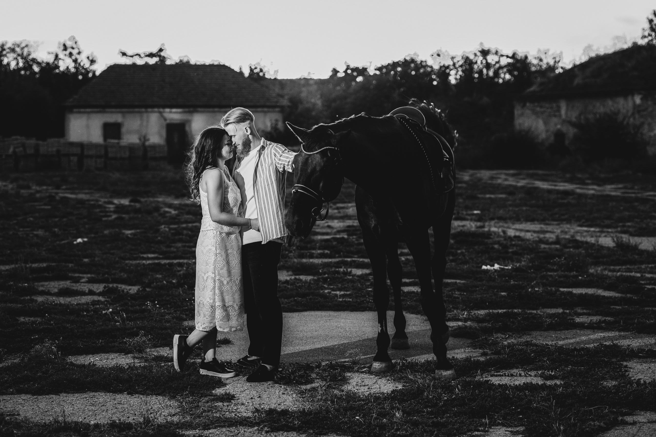 Pavel & Natalia. Fotograful evenimentului tău