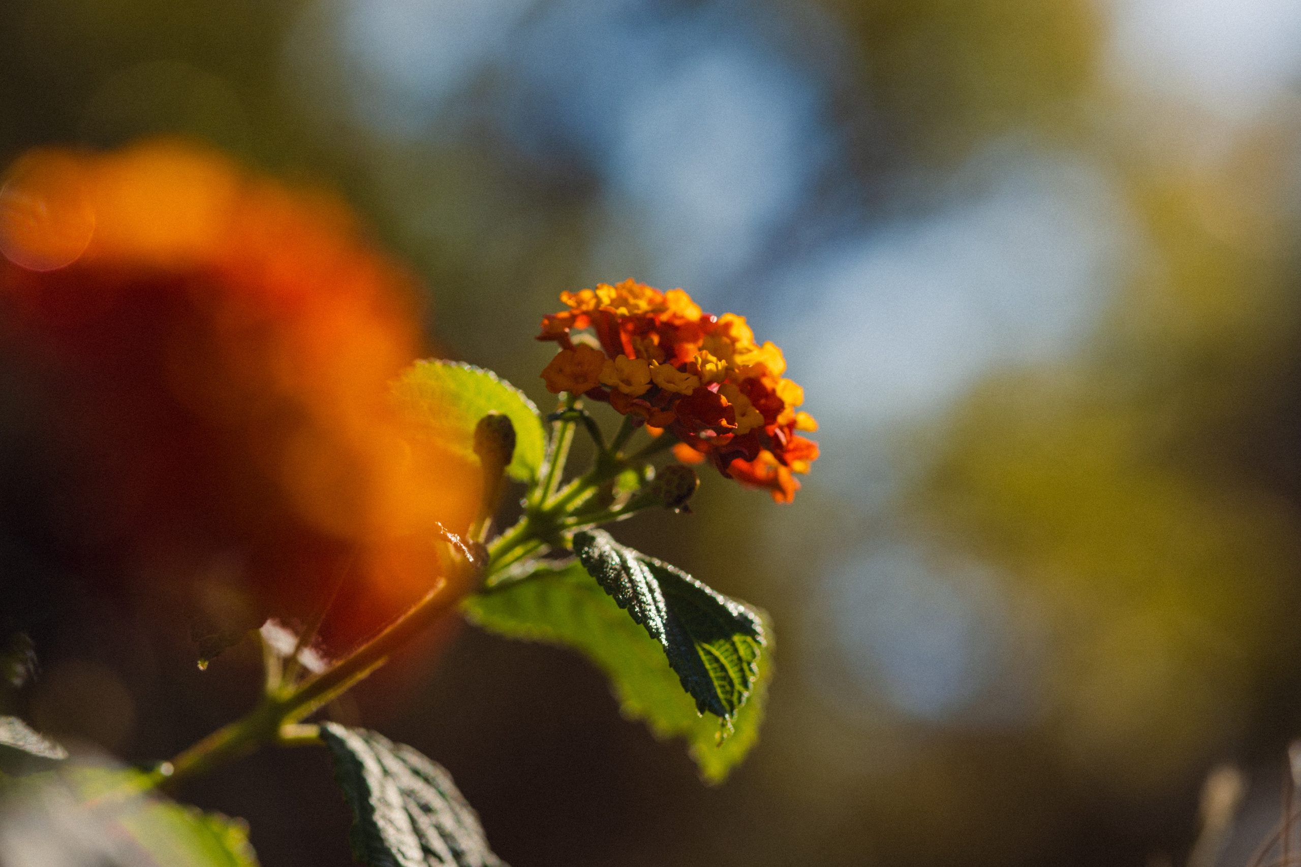Malta. Aleks.photo | Book a photoshoot