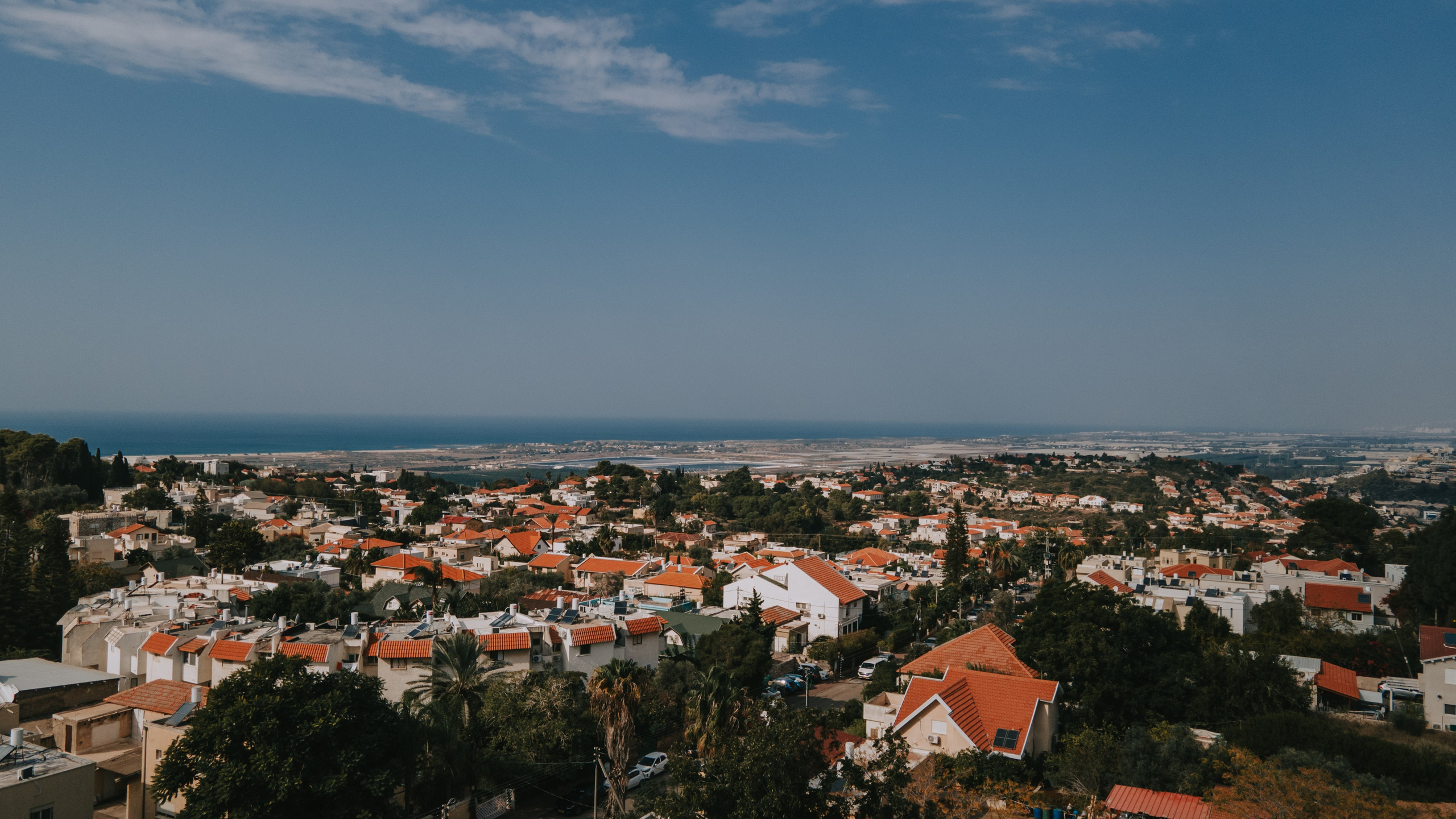 זרעי גדרה — SYNGENTA. AMIR BUCHNIK PHOTOGRAPHER