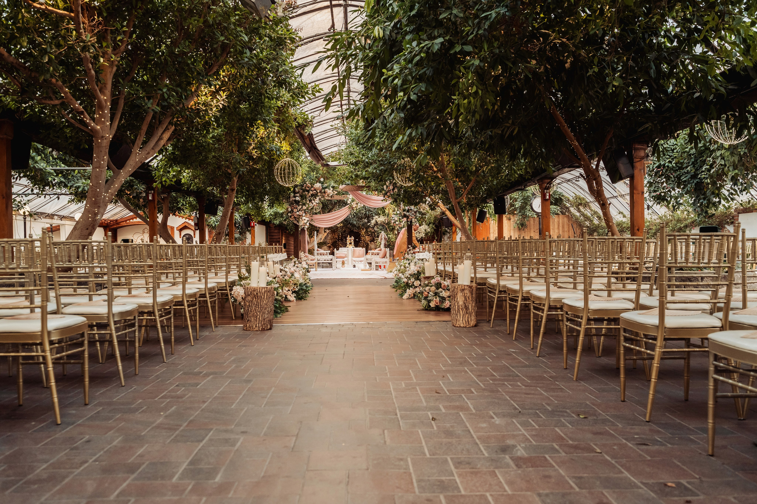 Darshil & Shailja. Wedding Photographer & Cinematographer studios