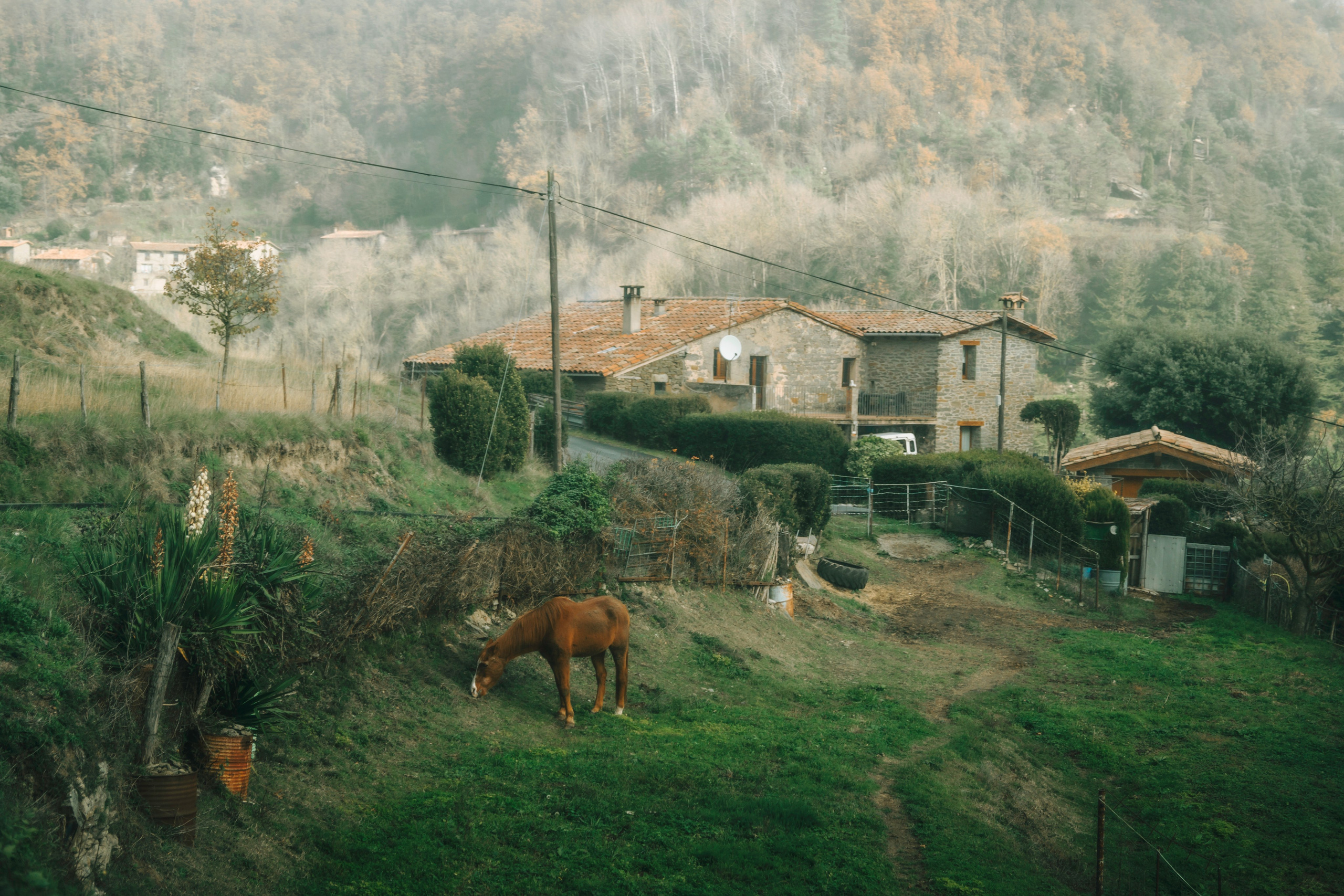 Rupit. Alba del Norte Studio