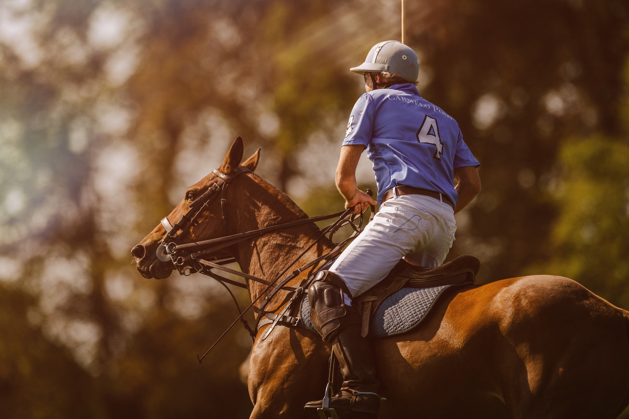 Family Polo Day Photo Shooting