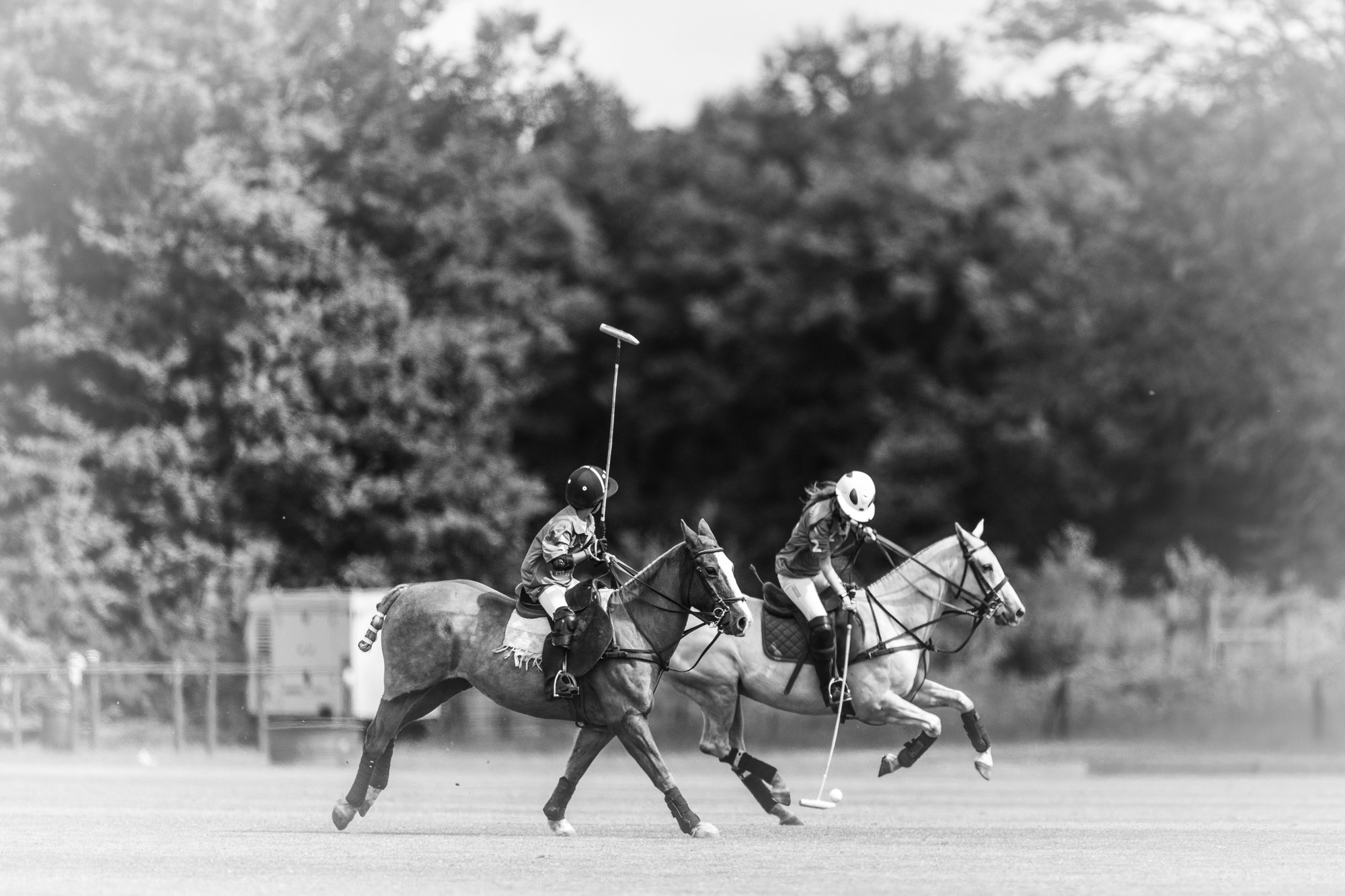 Family Polo Day Photo Shooting