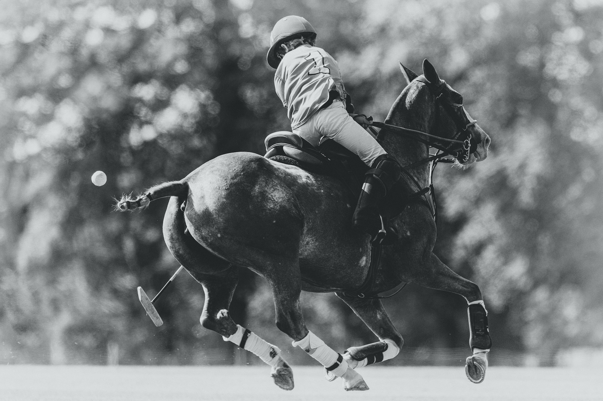 Family Polo Day Photo Shooting
