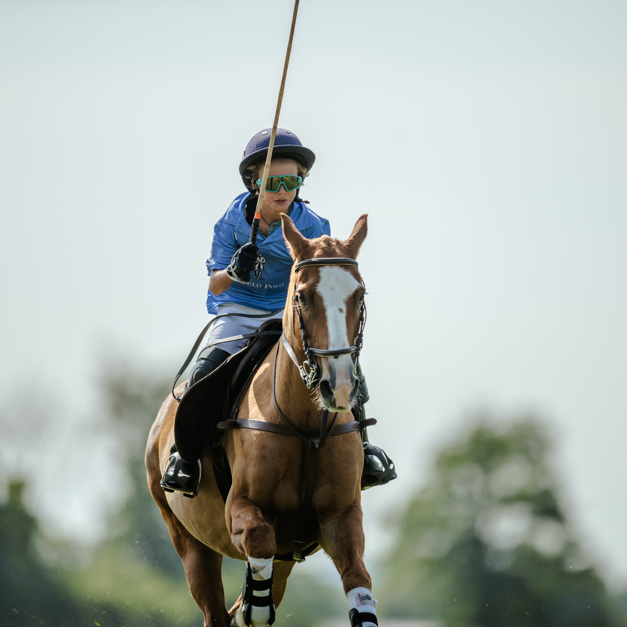 Family Polo Day Photo Shooting