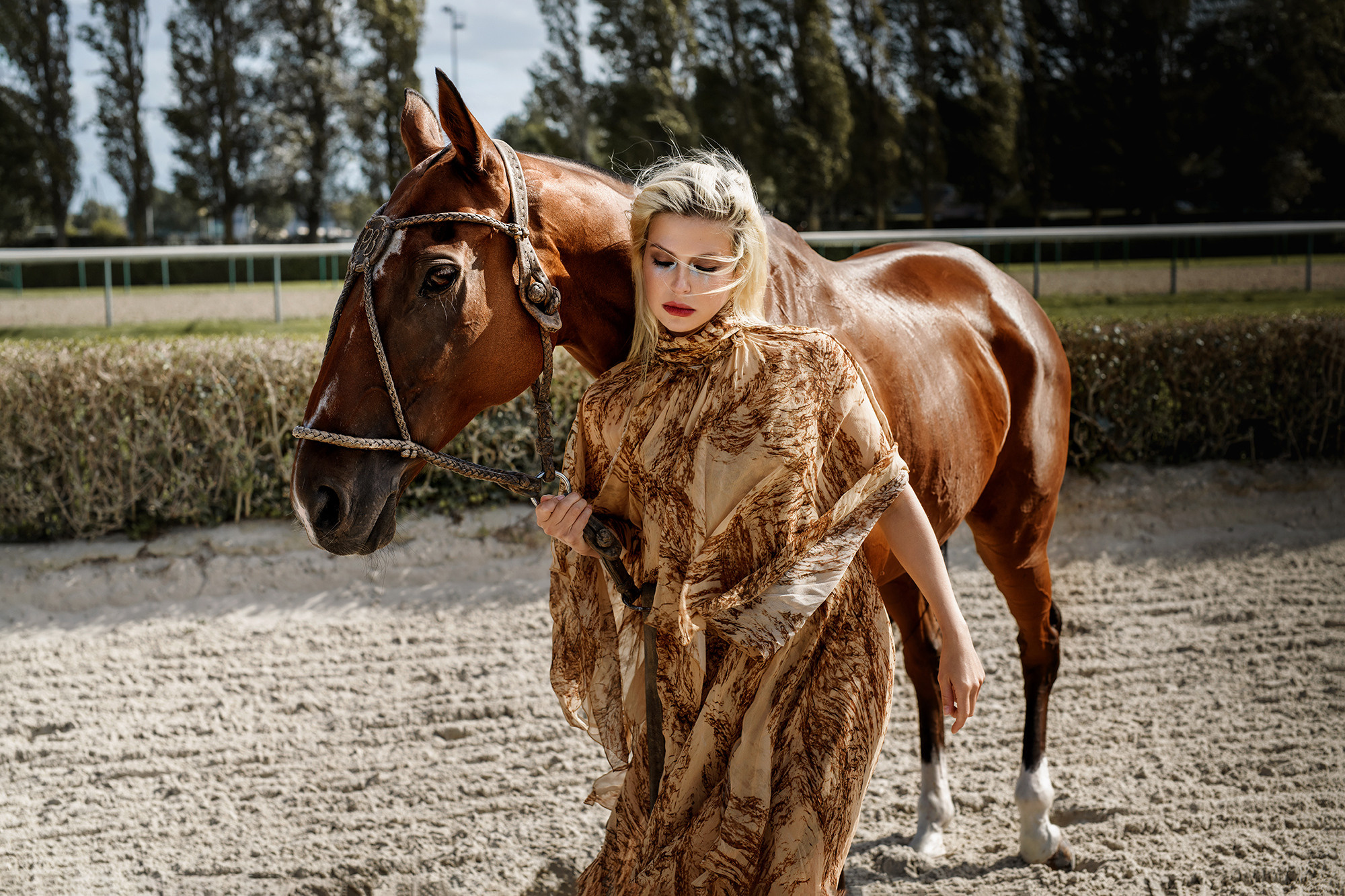 Photo shoot with horses