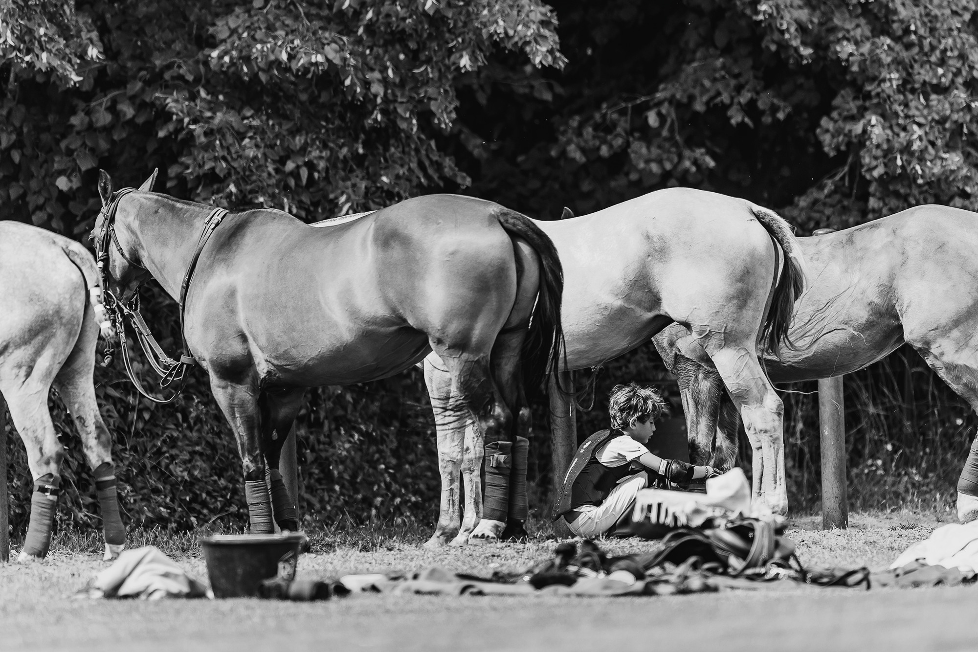 Family Polo Day Photo Shooting