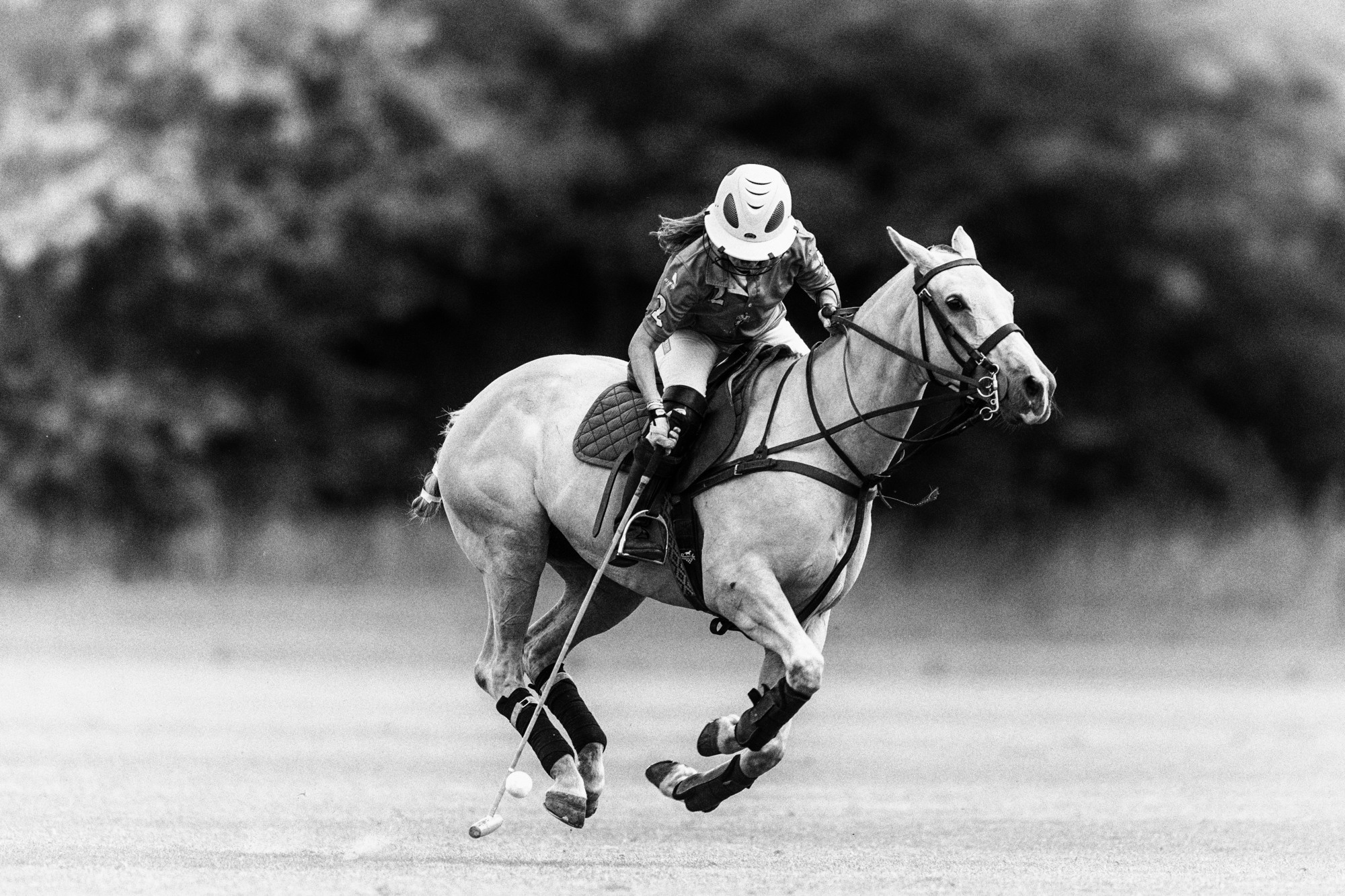 Family Polo Day Photo Shooting