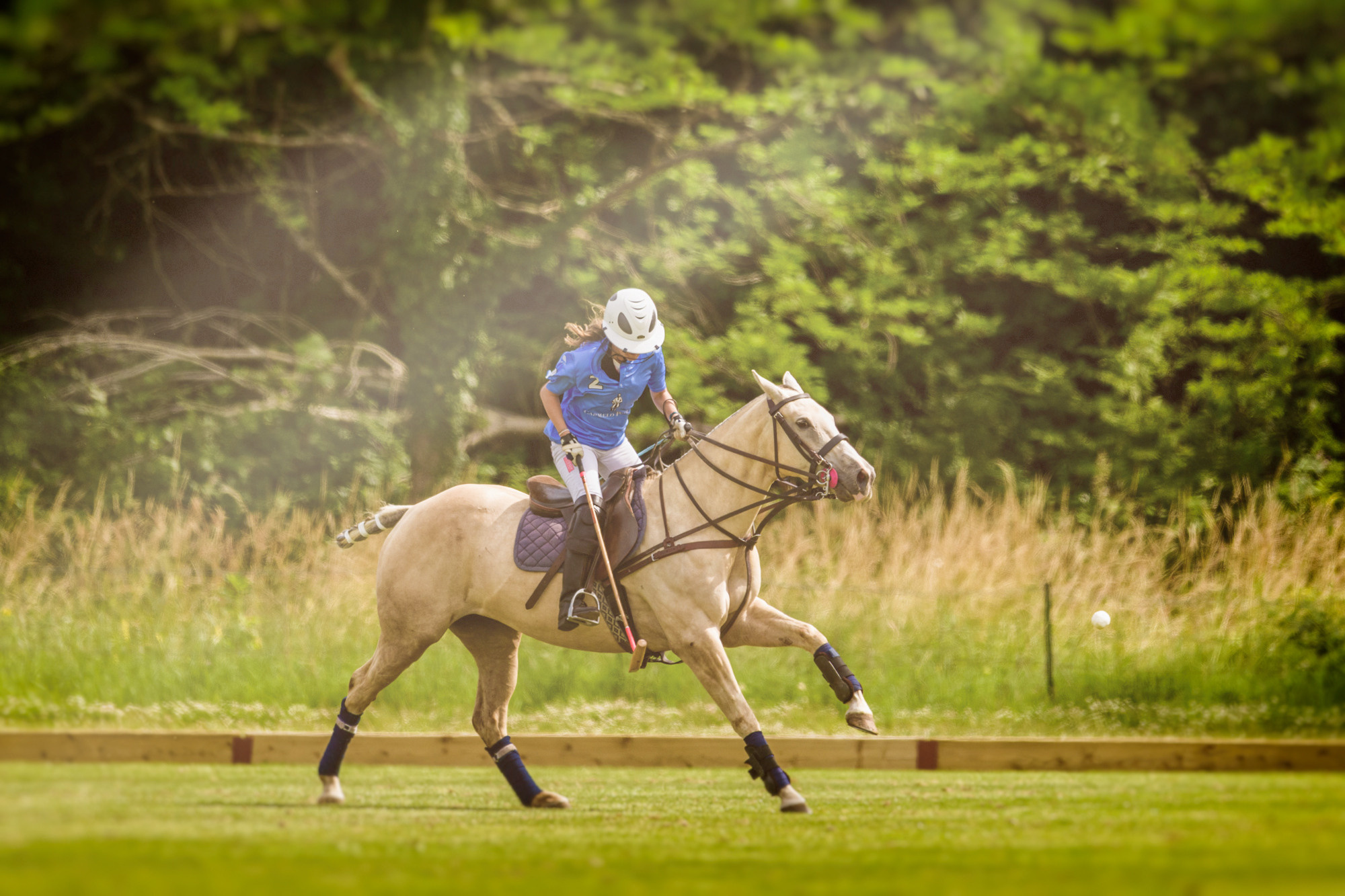Family Polo Day Photo Shooting