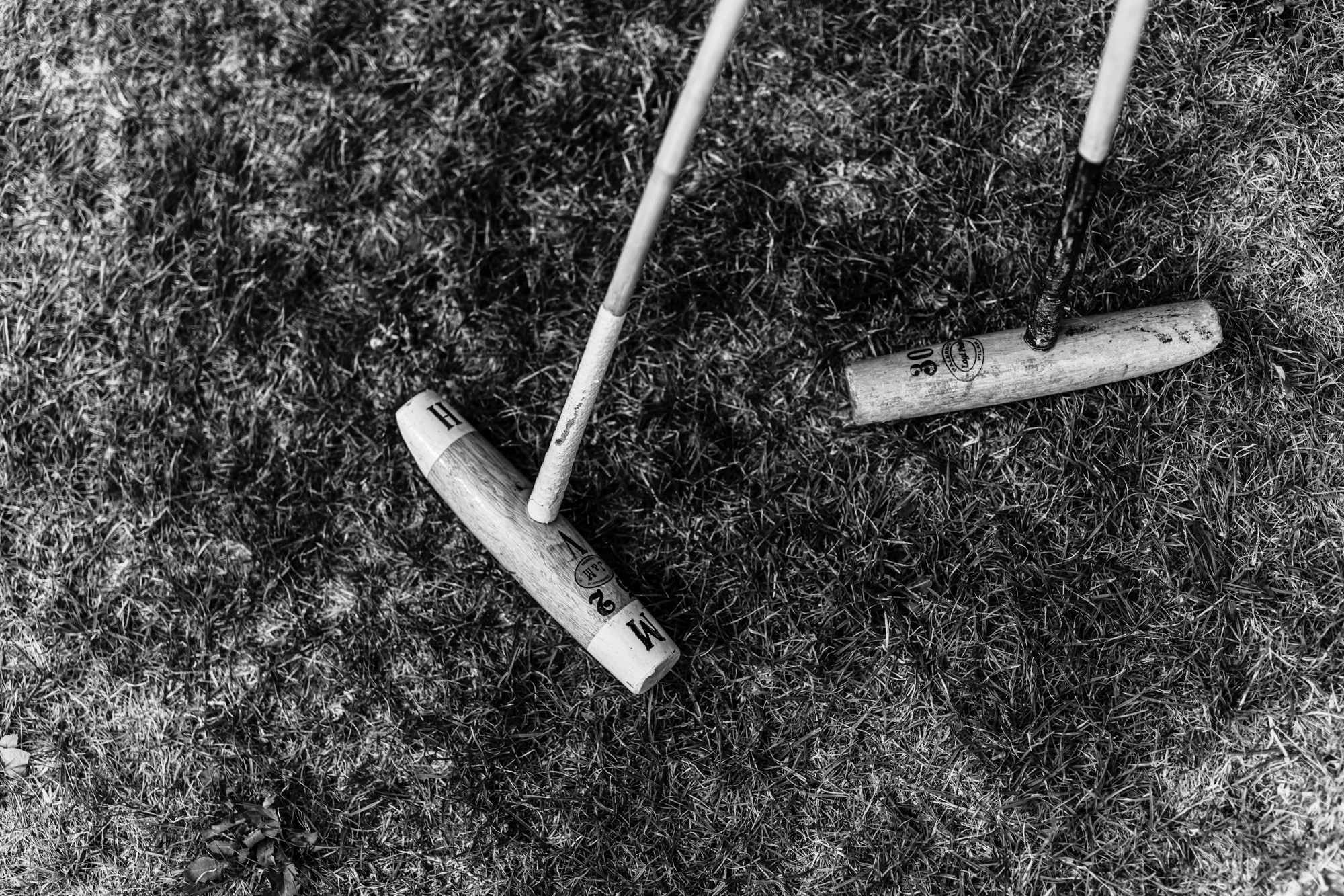 Family Polo Day Photo Shooting