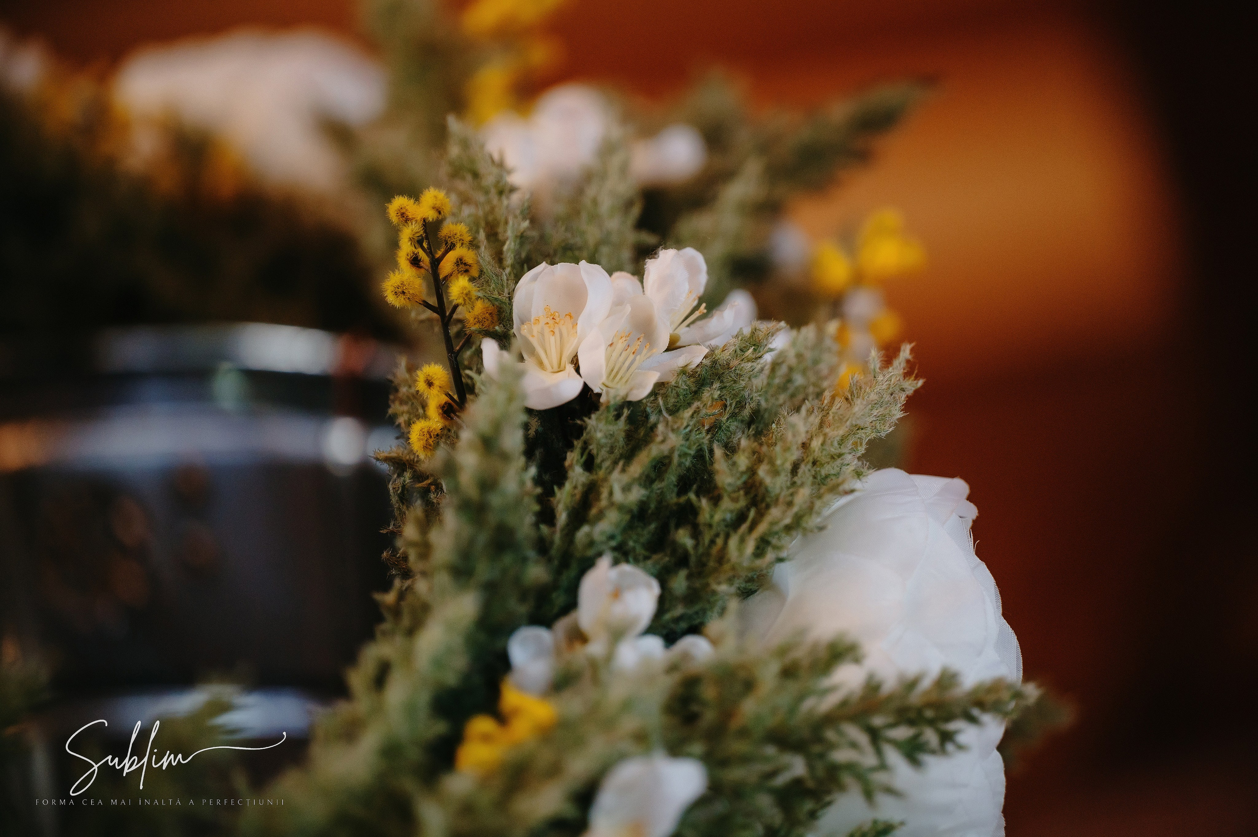 Sublim. Laurentiu Stefan StoryTeller