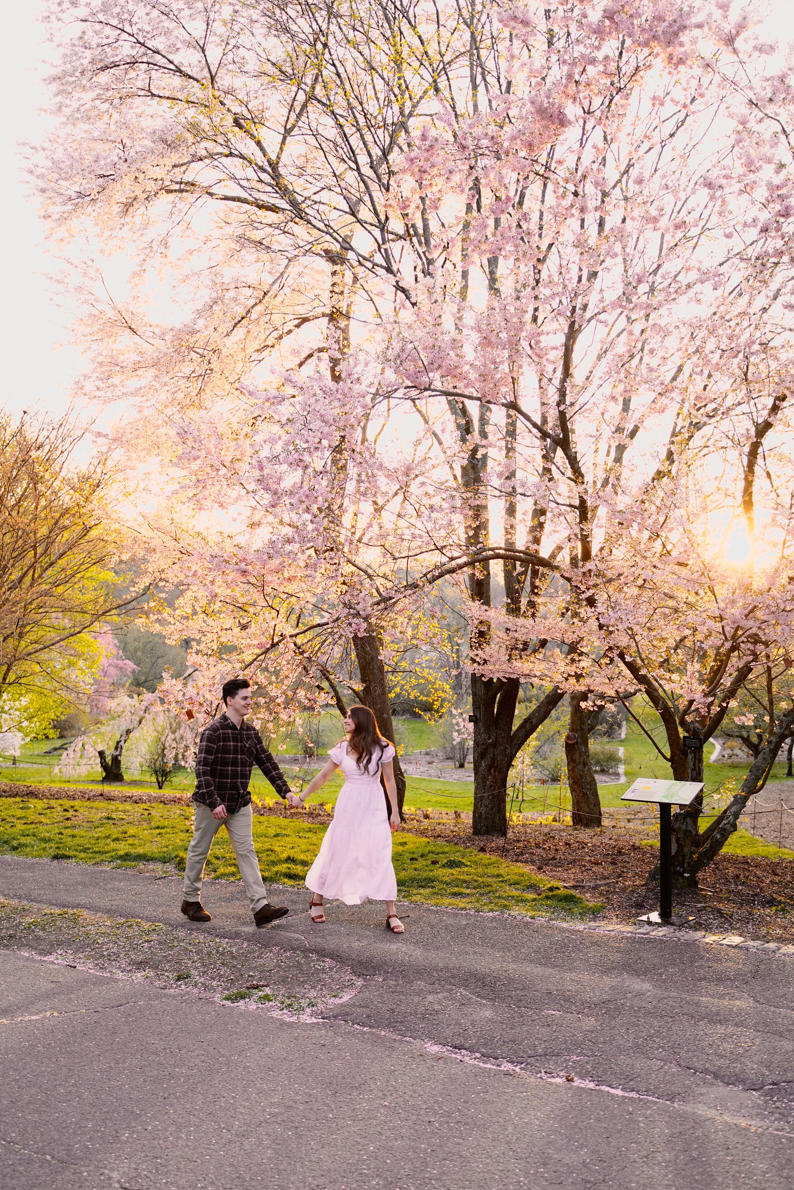 Kassandra and Andrew at Harvard Arboretum. Stefanovich Photography | Boston, MA