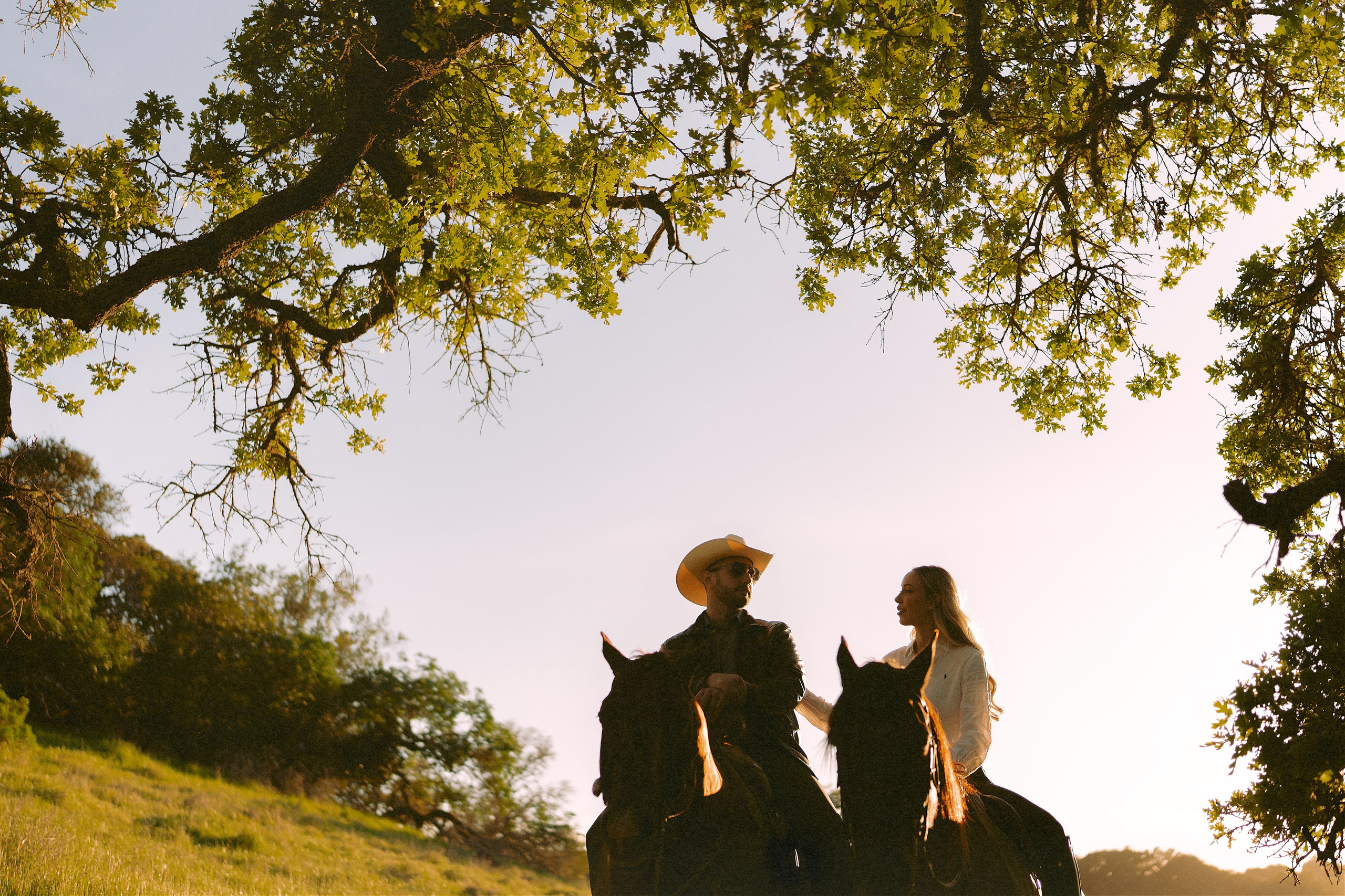 Engagement with Horses, Napa, Northern California. Wedding Photography & Videography Team in California, Los Angeles, San Francisco, San Diego and Travel