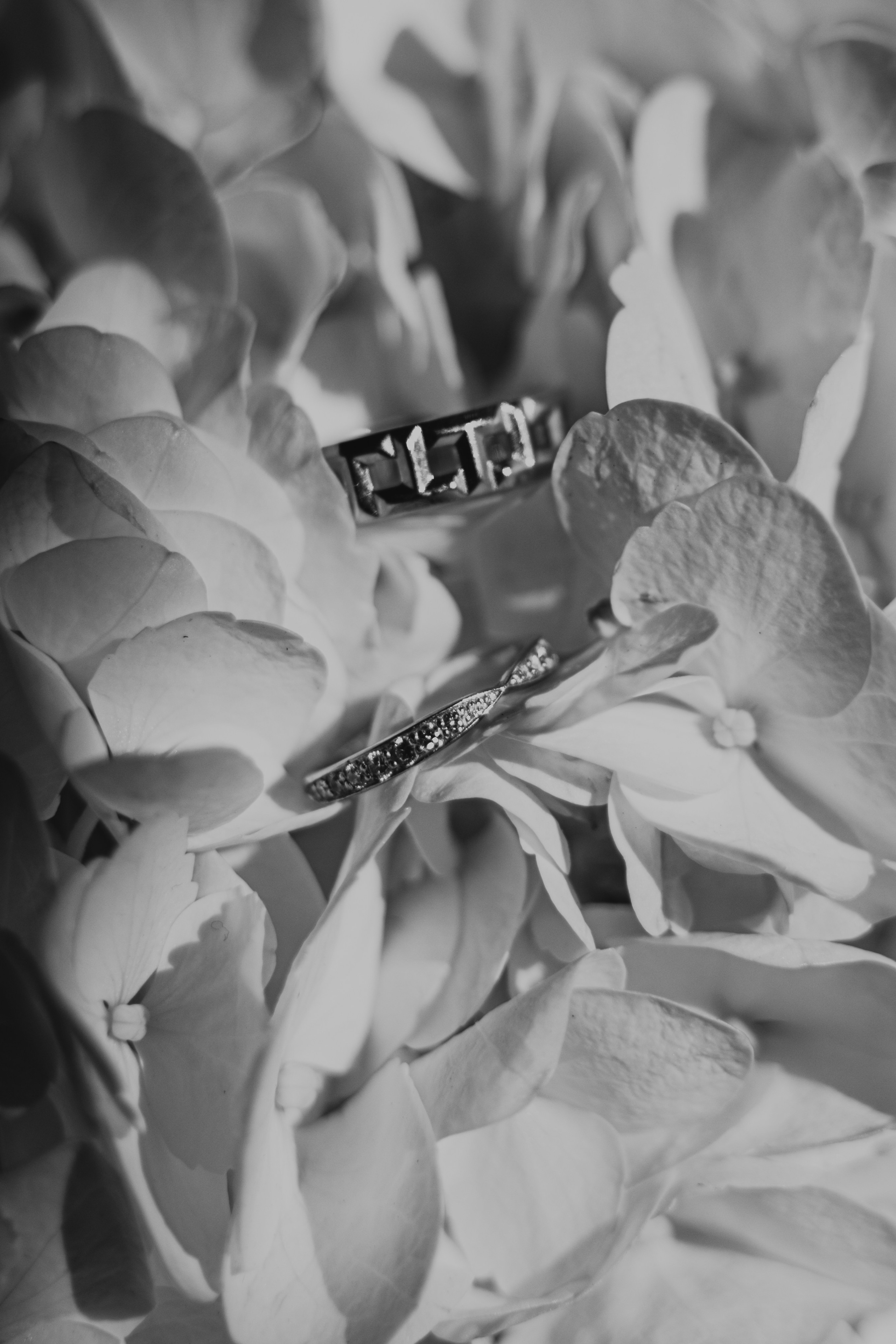 11/26. Wedding and family photographer San Diego