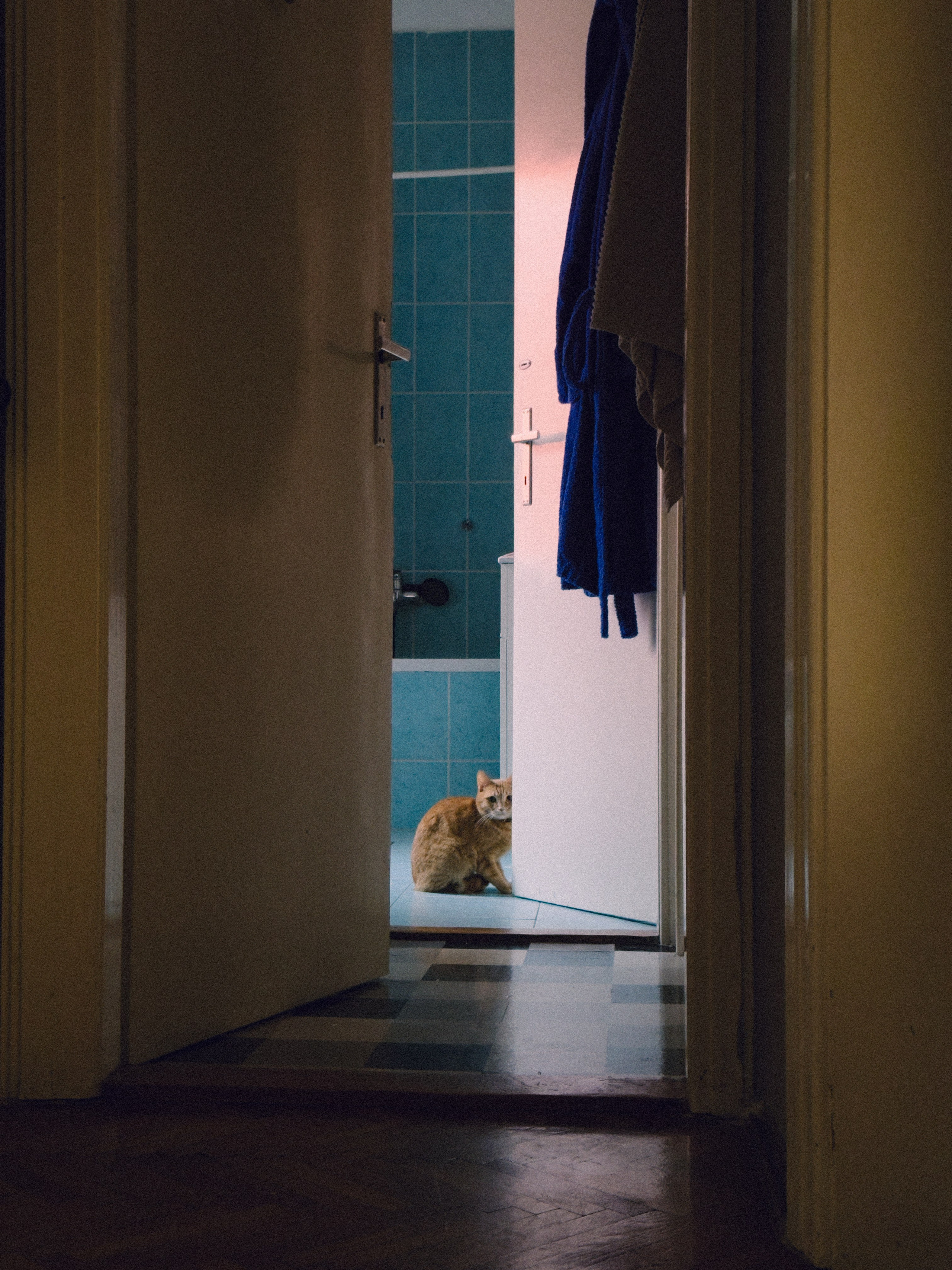 Мобильная съемка. Анастасия Еремина | Фотограф в Сербии | Персональные и бизнес-фотосессии в Белграде и Нови Саде