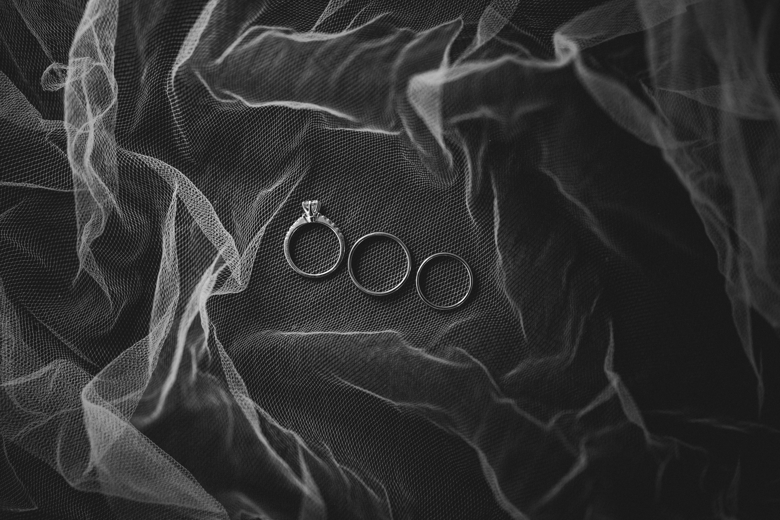 Dmitry Gorodetsky Event Photographer