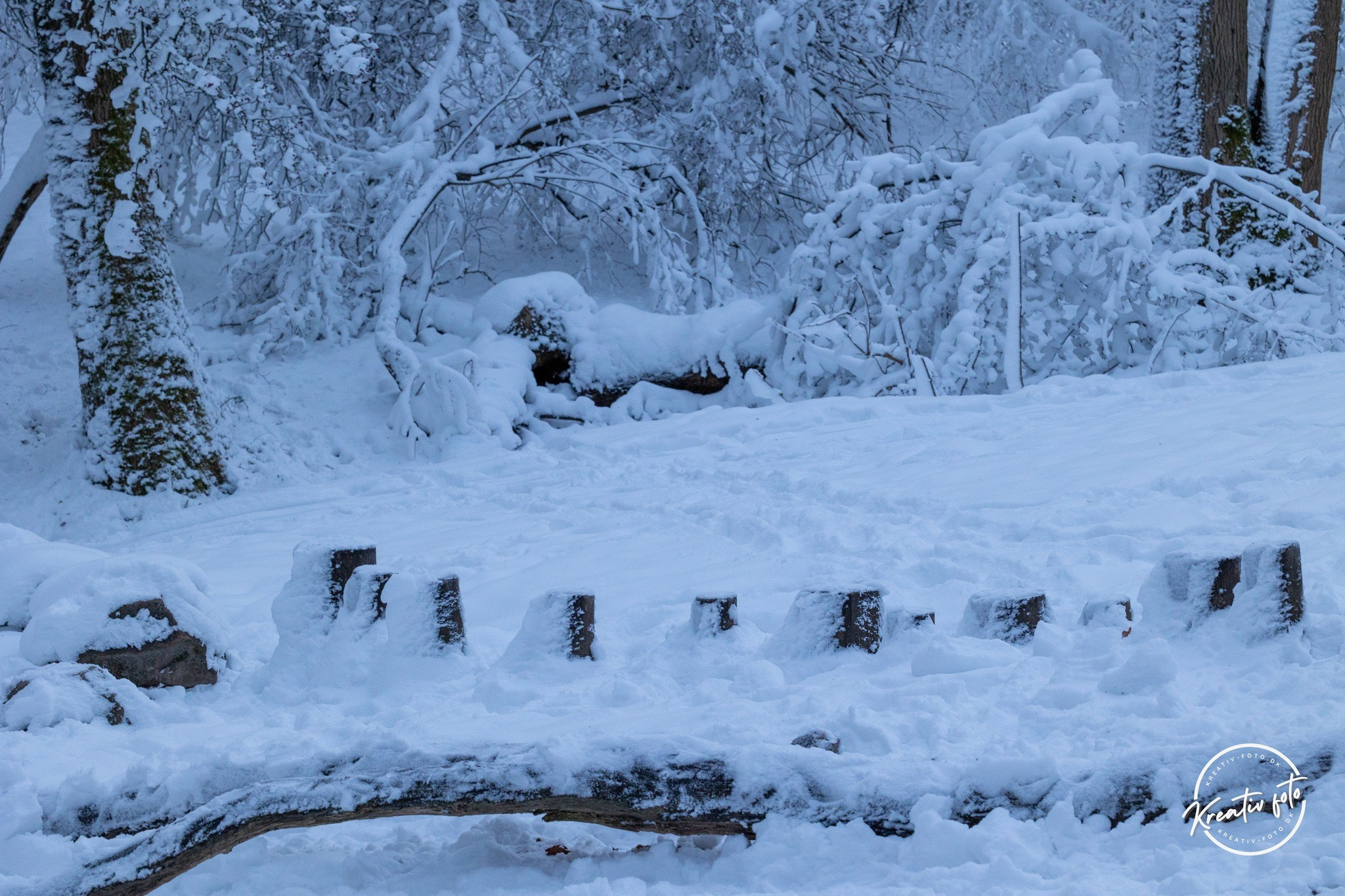 Vinter. Fotograf Aarhus | Portrætfoto Århus | Flotte billeder