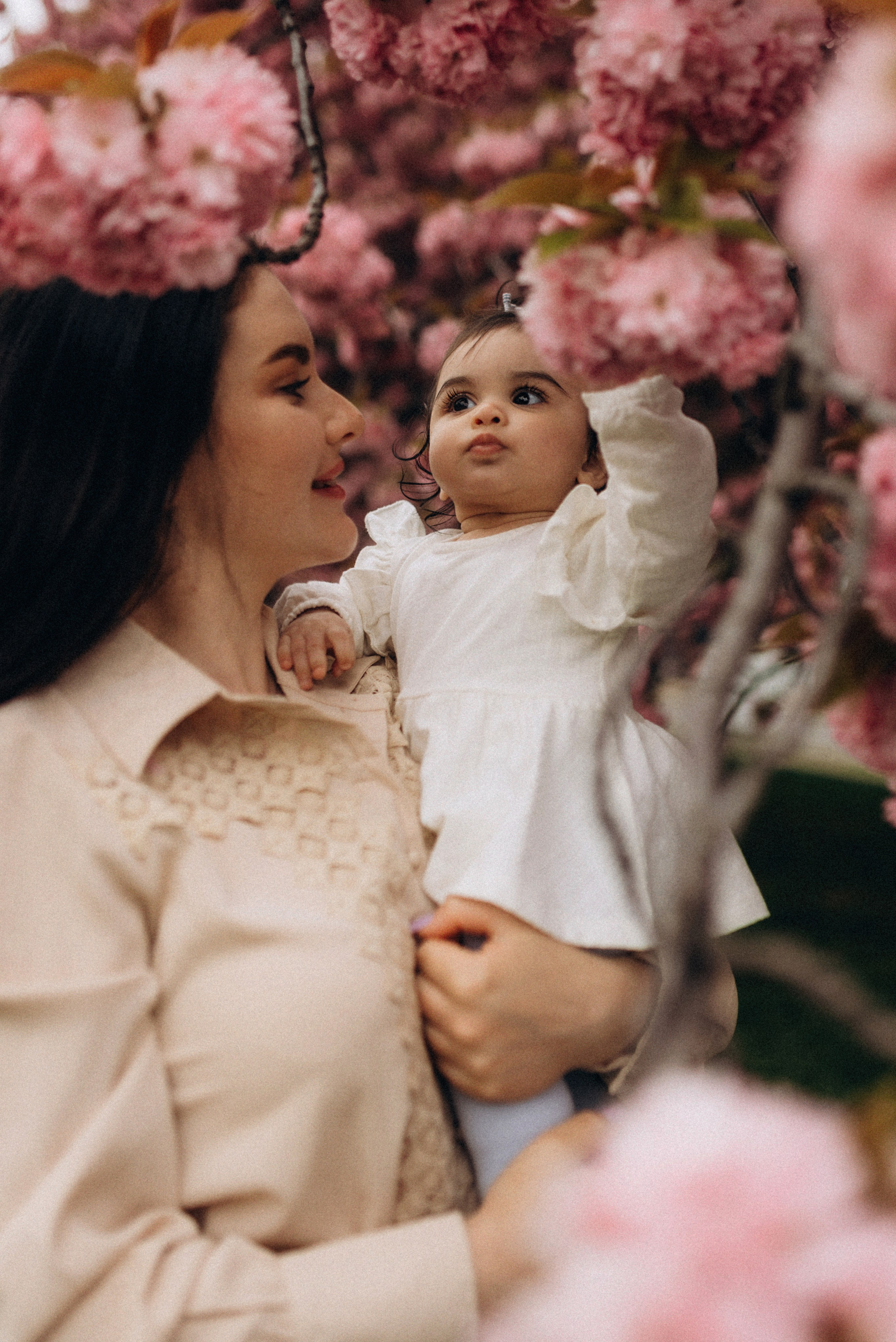 Family history in Sakura. Семейный фотограф Лейпциг, Германия