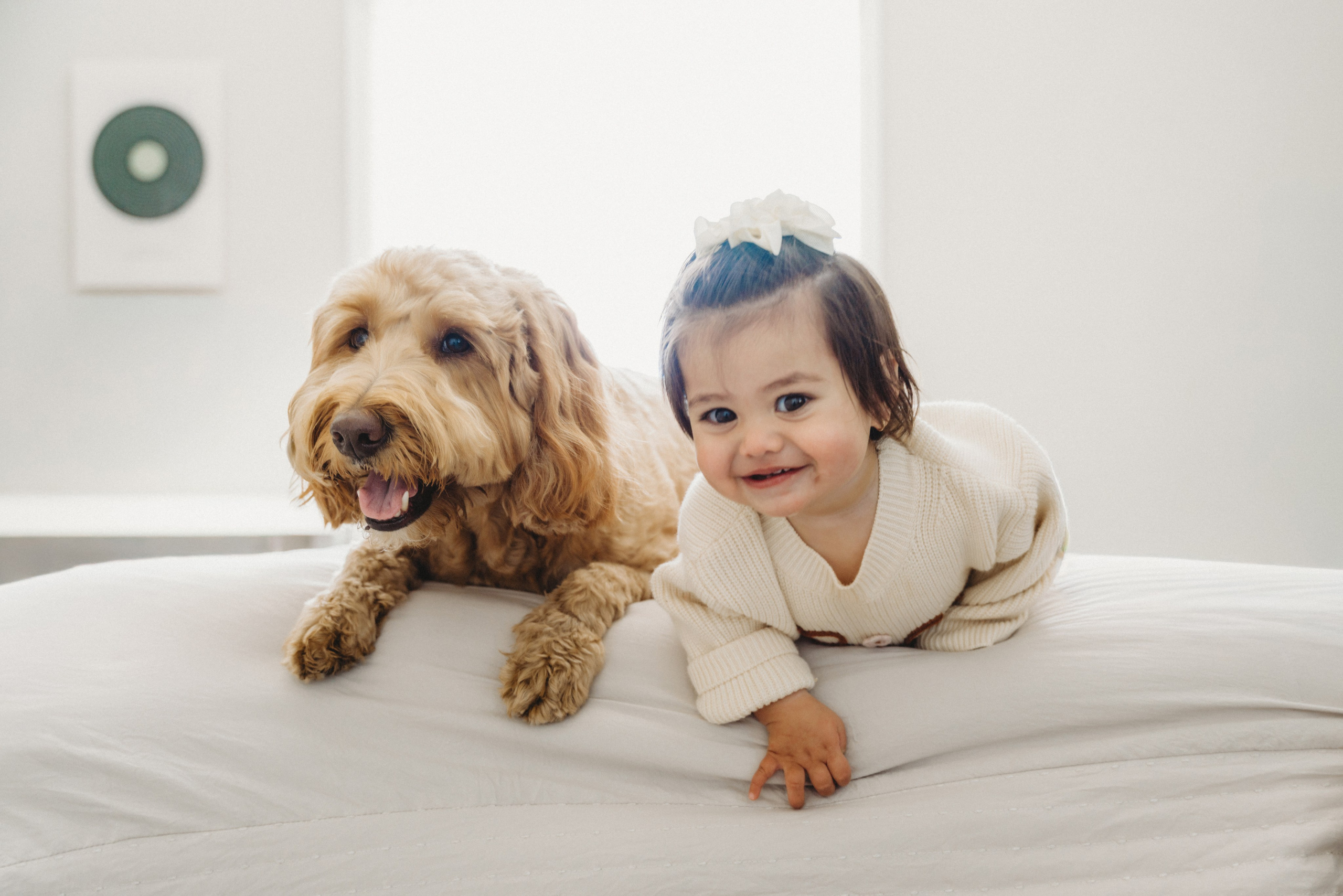 Portrait of little girl and the dog