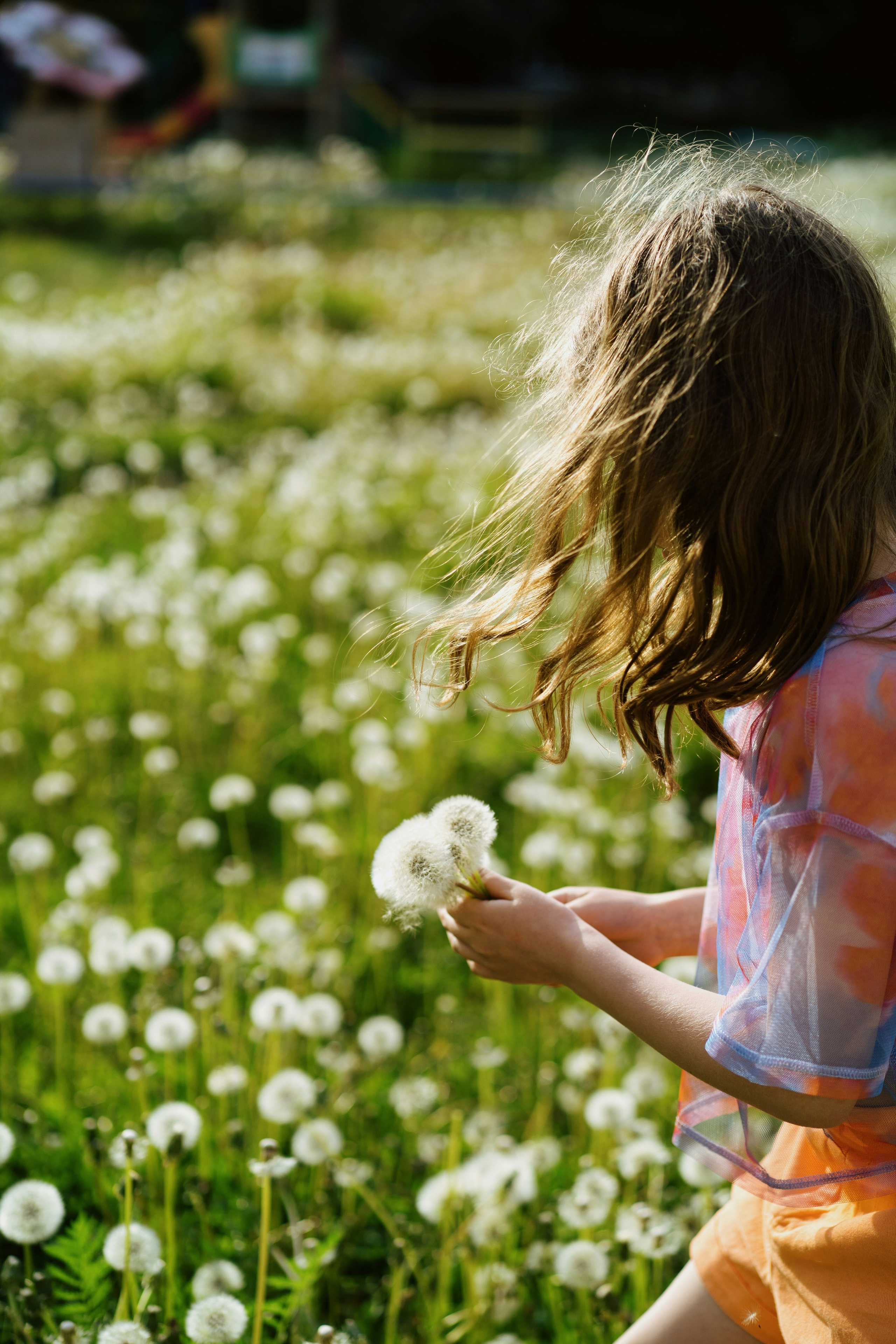 Cacciatori di Meraviglie | Servizio Fotografico Primaverile per Famiglie