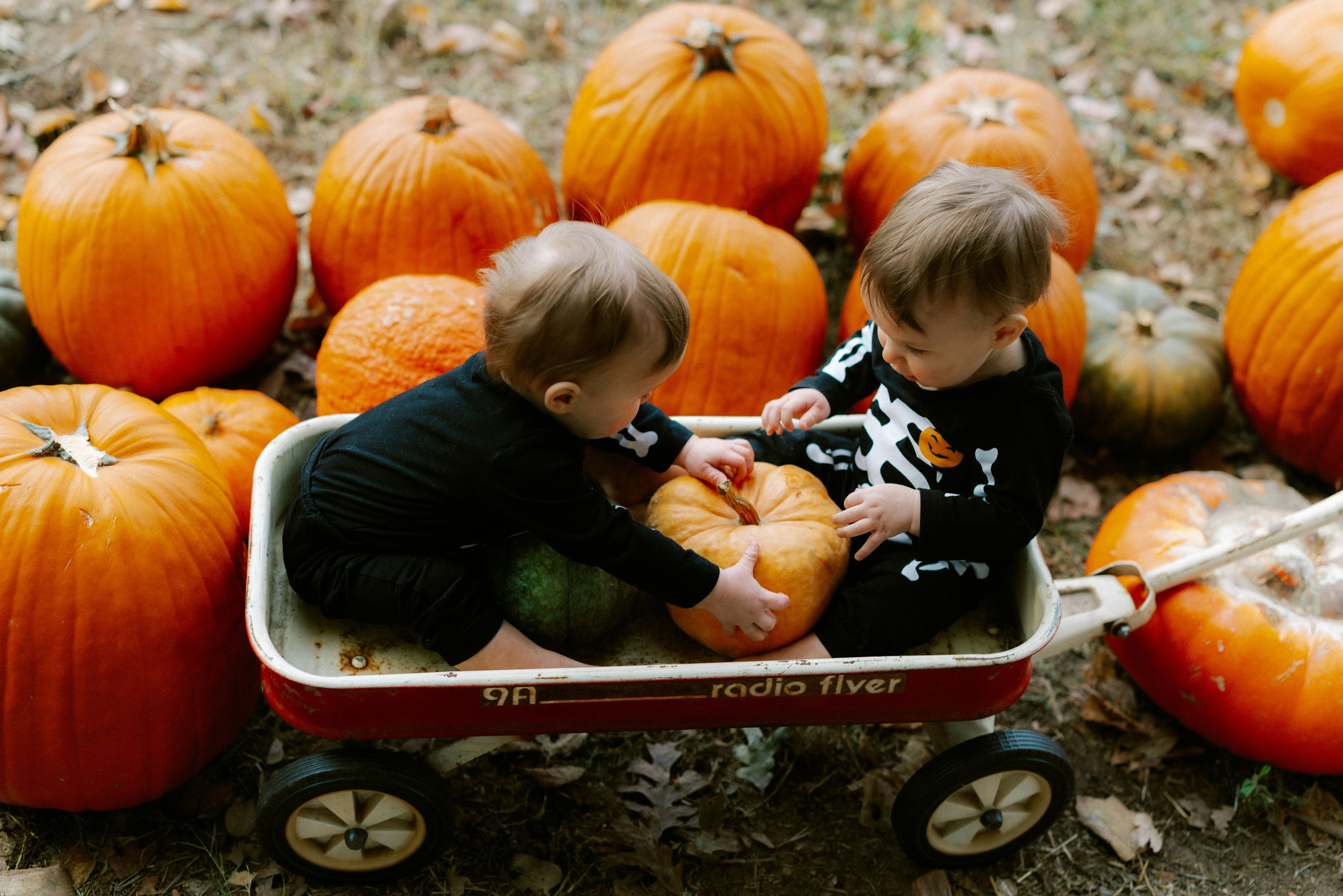 La Bottega delle Zucche | Servizio Fotografico Autunnale per Bambini