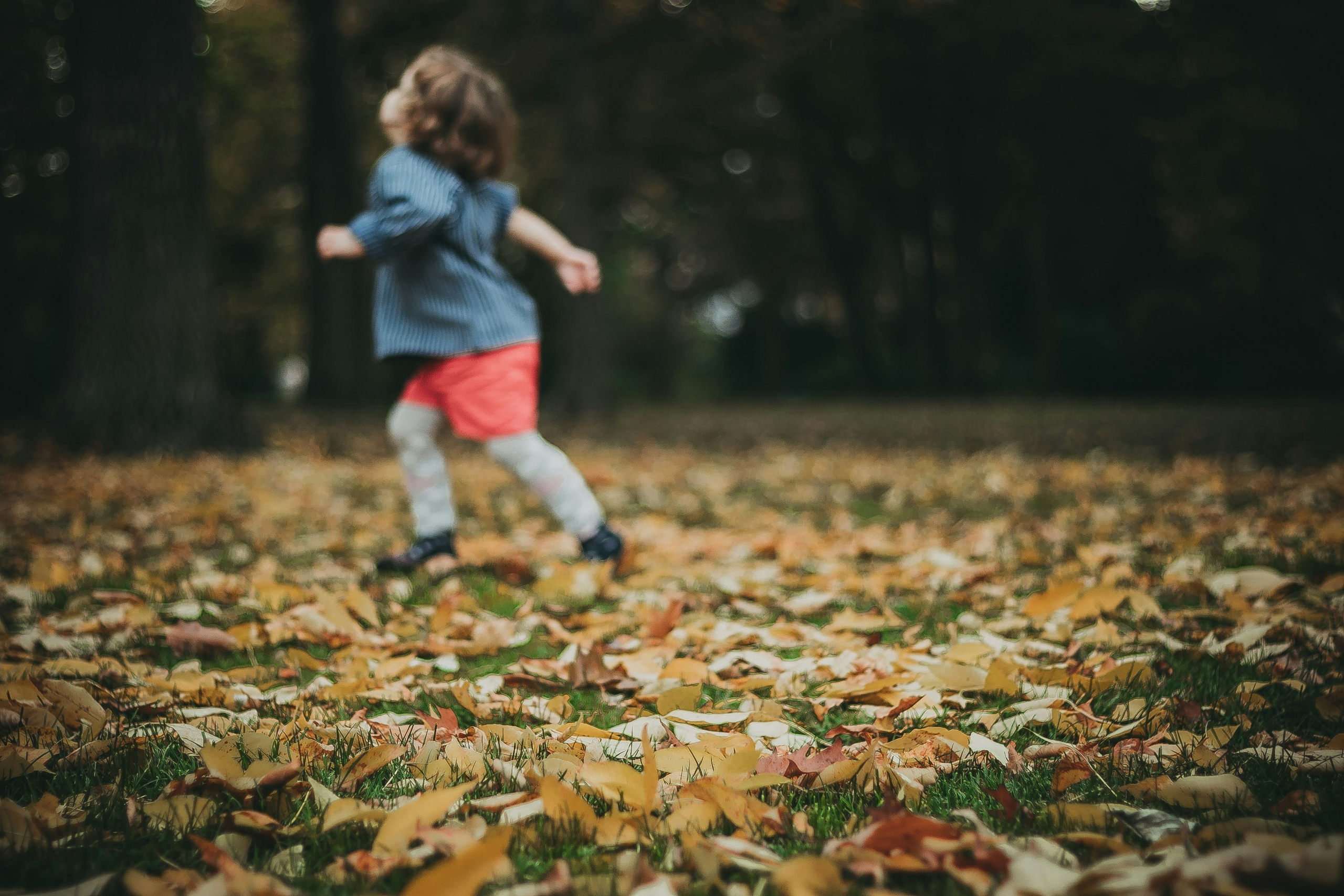 La Bottega delle Zucche | Servizio Fotografico Autunnale per Bambini