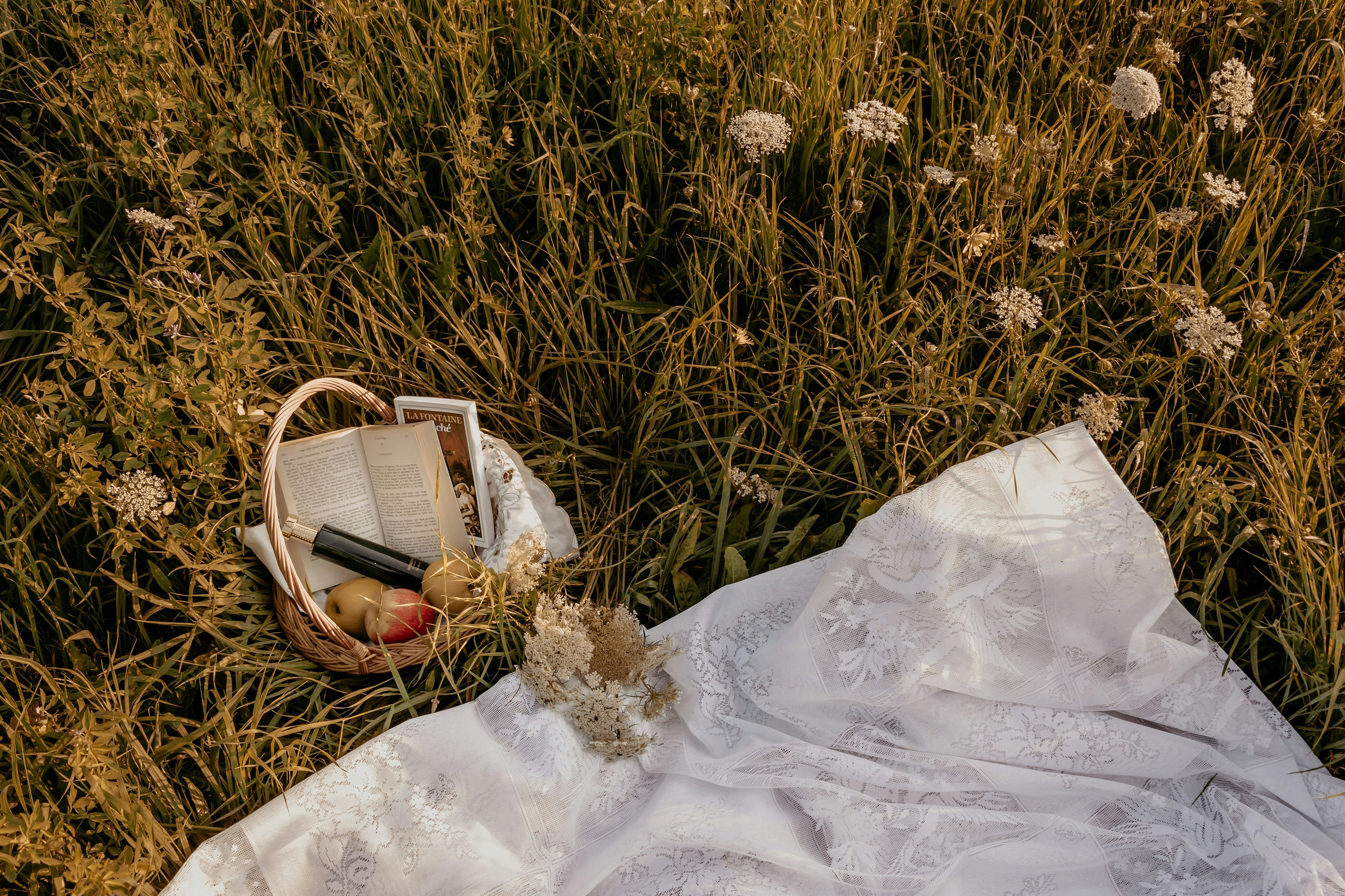 Picnic al Tramonto | Ritratti di Famiglia Lifestyle in Esterna