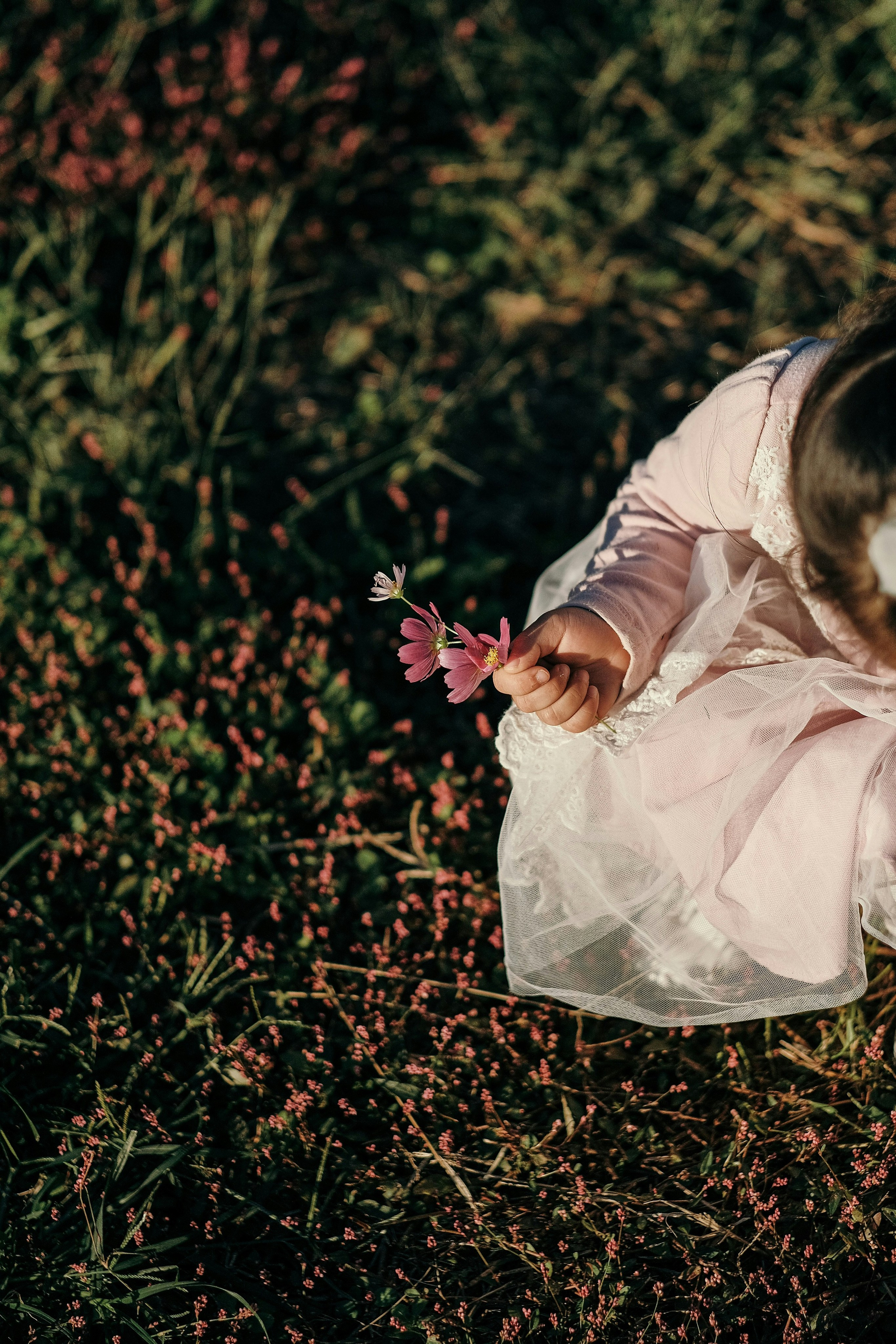 Cacciatori di Meraviglie | Servizio Fotografico Primaverile per Famiglie