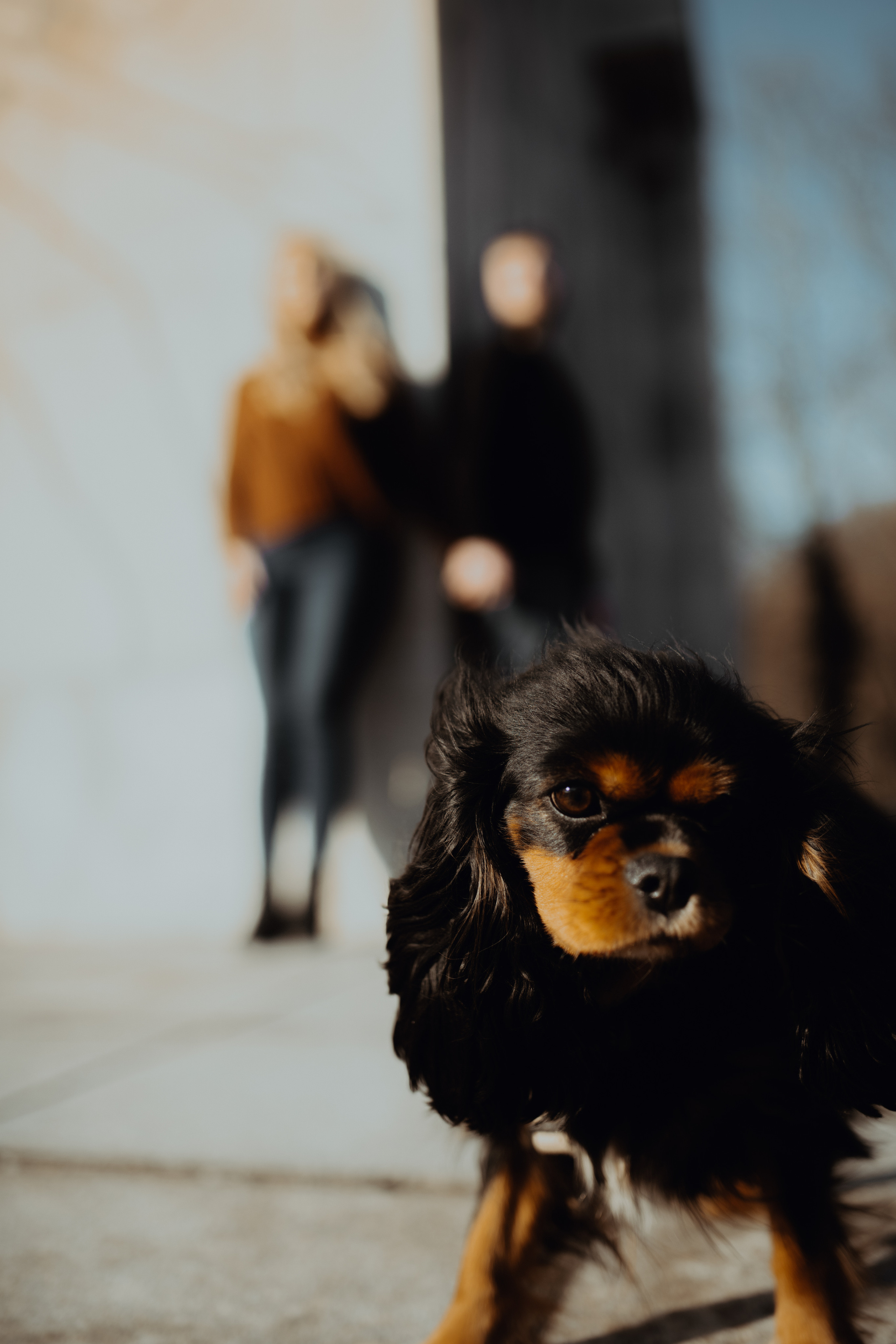 Kasia i Sebastian. Magdawalach.com