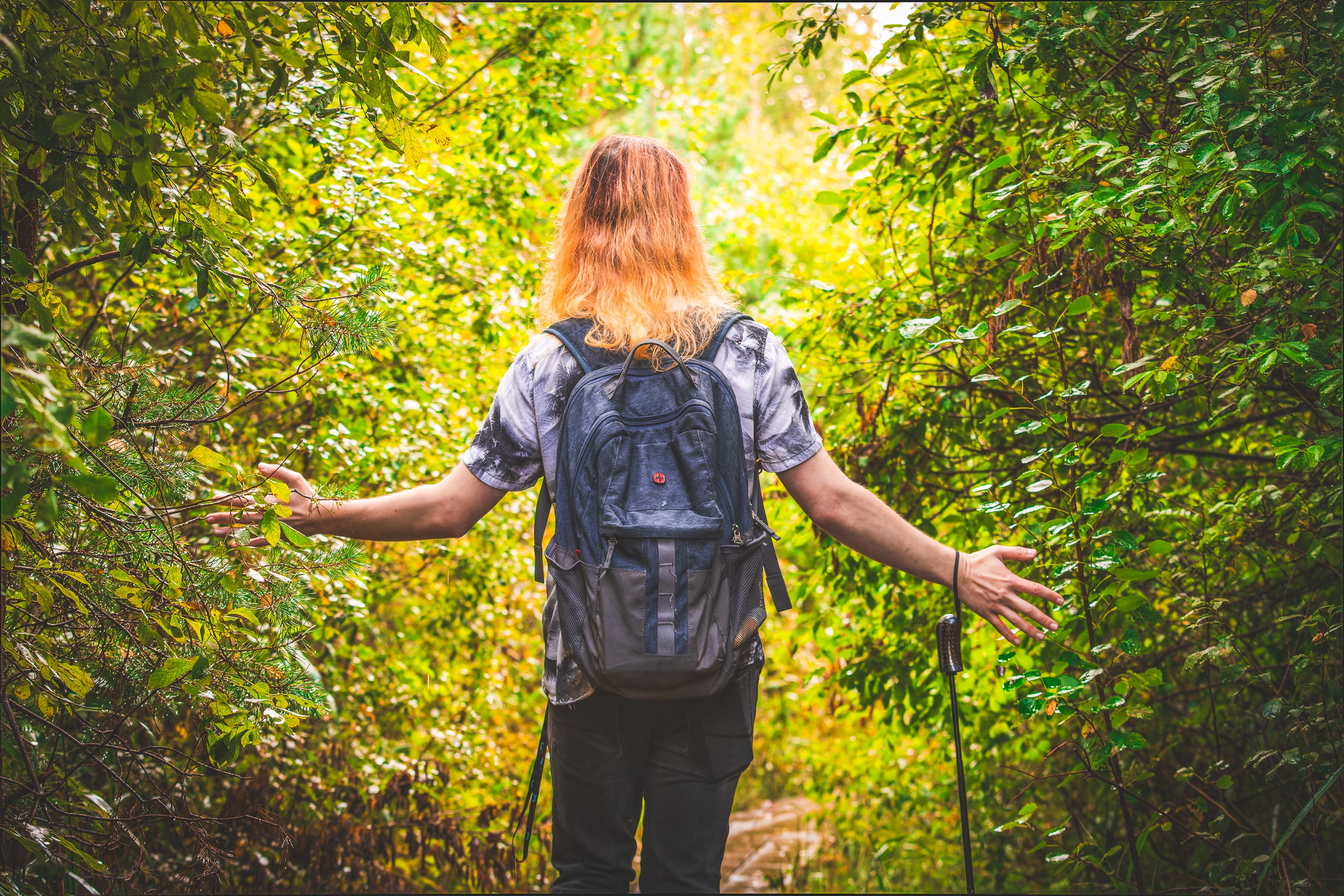 Mets, vihm ja jahedus (Dimitry). Nebula 25 — Fotod teie hingele