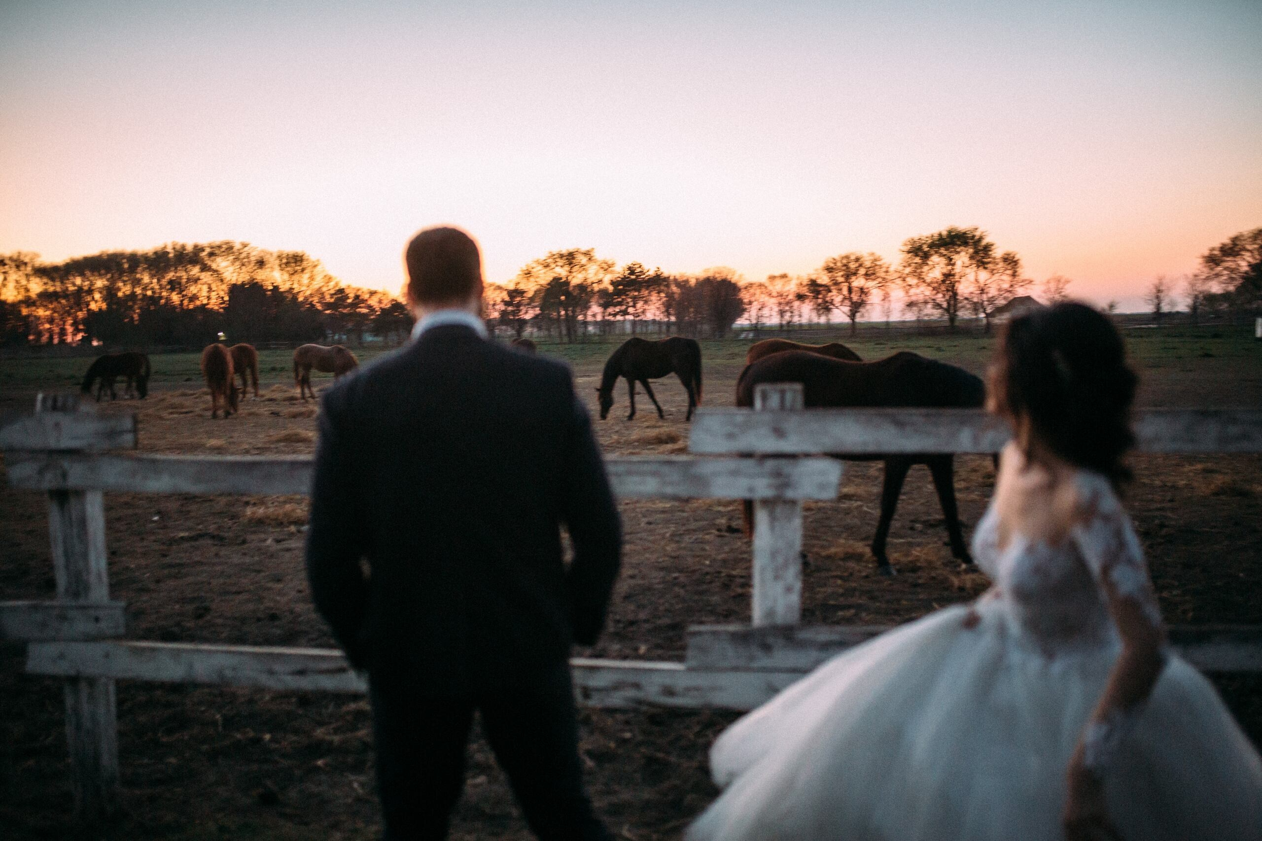 Teodora & Nikola. Wedding photographer based in Novi Sad, Marko Milivojevic